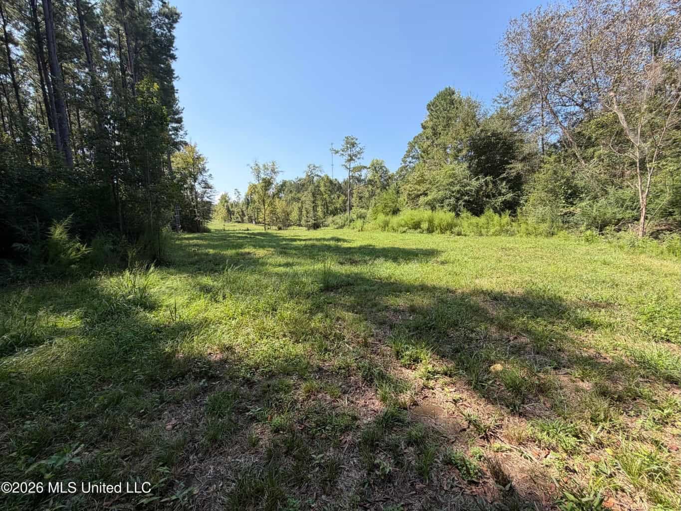 76 Acres of Hunting Land in Raleigh, MS, Smith County