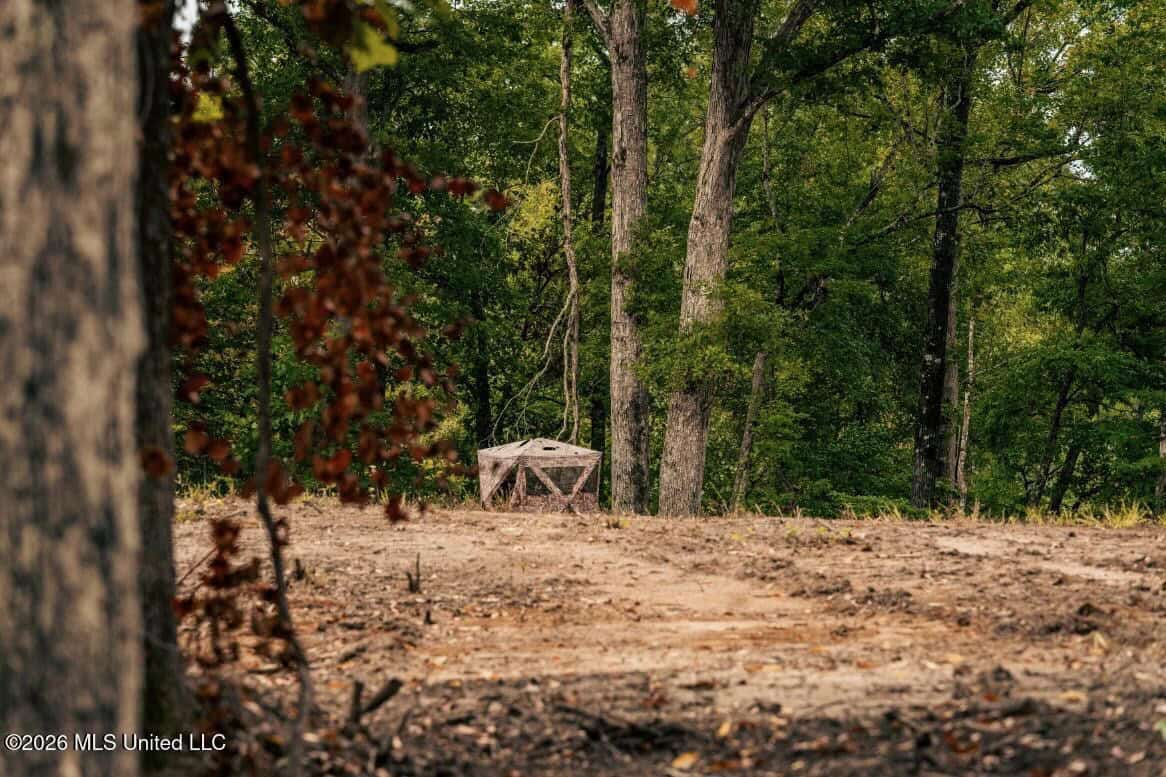 58± Acre Hunting Property in Franklin County, MS