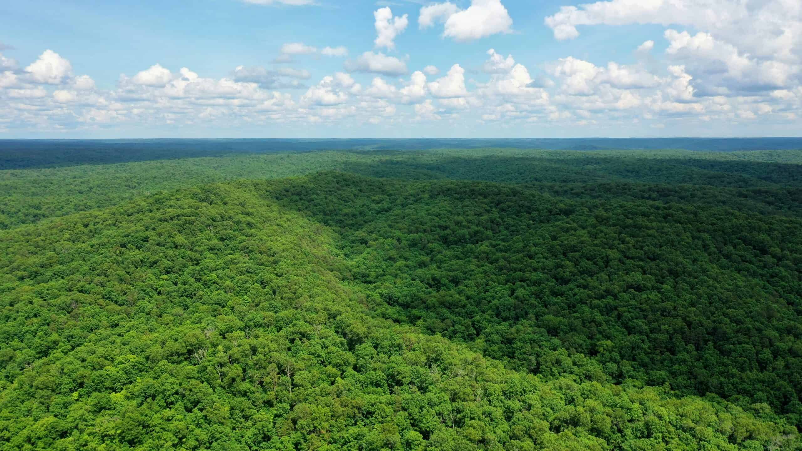 473 ± Acre Ozark Farm for Sale Near Salem, Missouri