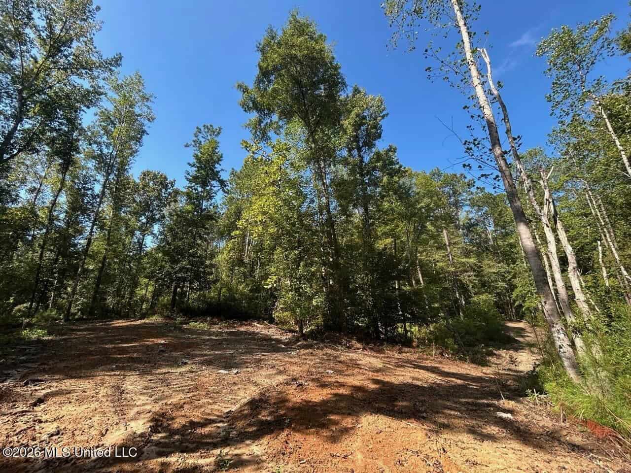 45± Acre Hunting Property in Franklin County, MS