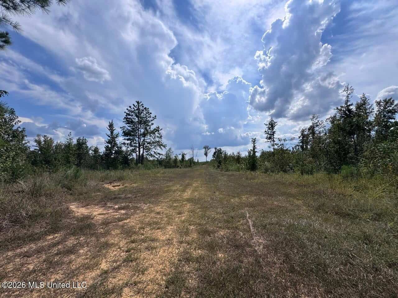 200± Acre Hunting Property in Jefferson County, MS