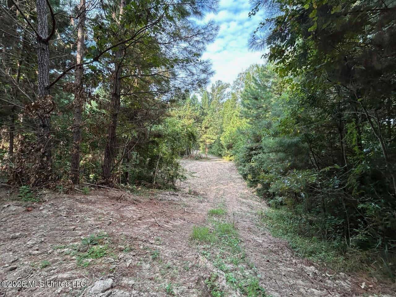 80± Acre Riverfront Hunting Land Near Meadville, MS