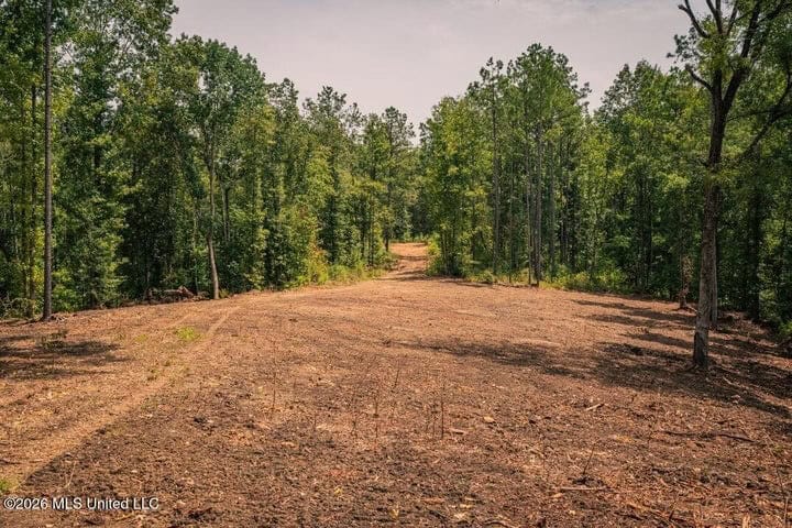 36± Acre Hunting Property Near Bude, MS
