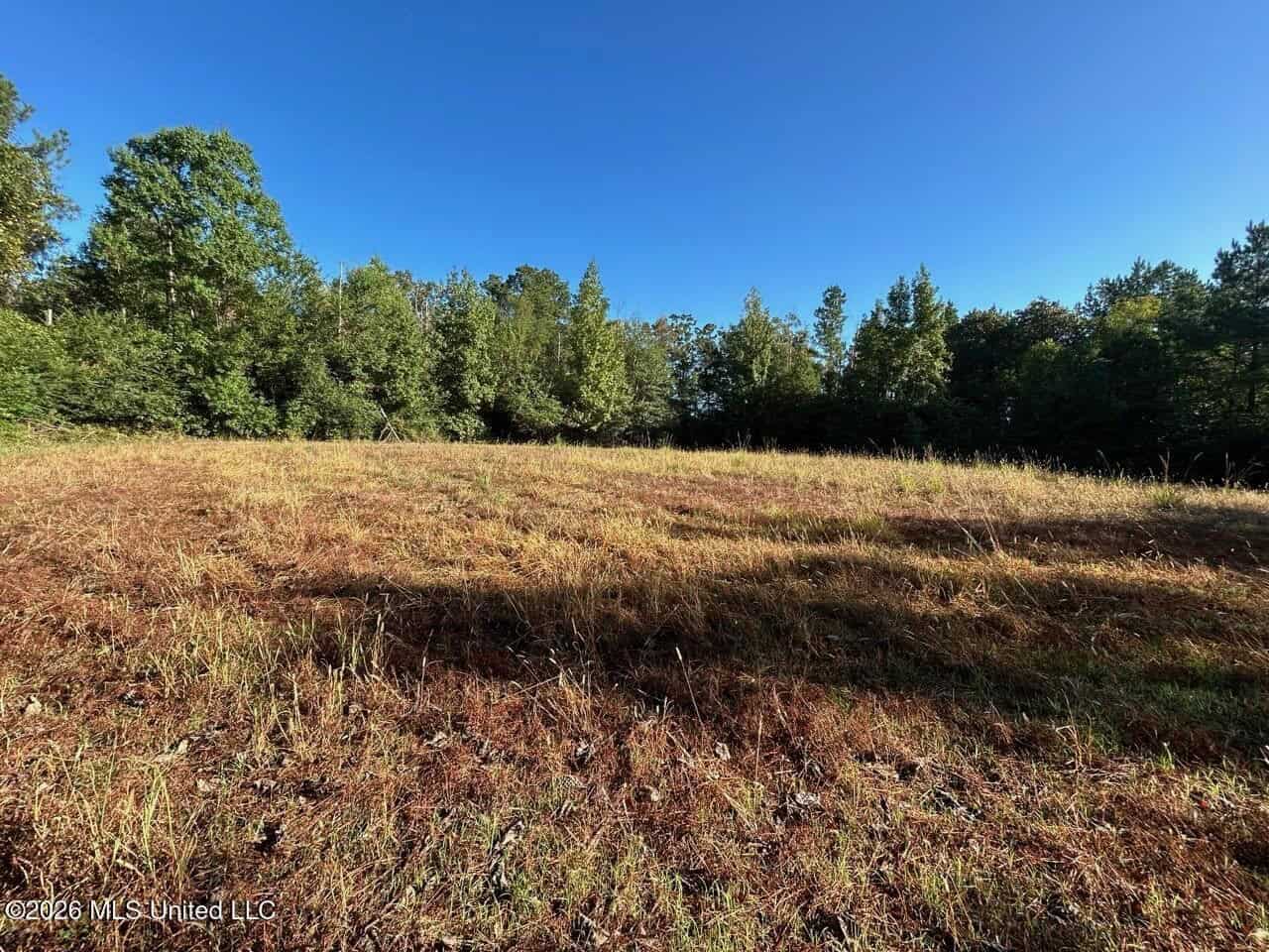 210+/- Acres and Cabin in Franklin County, MS