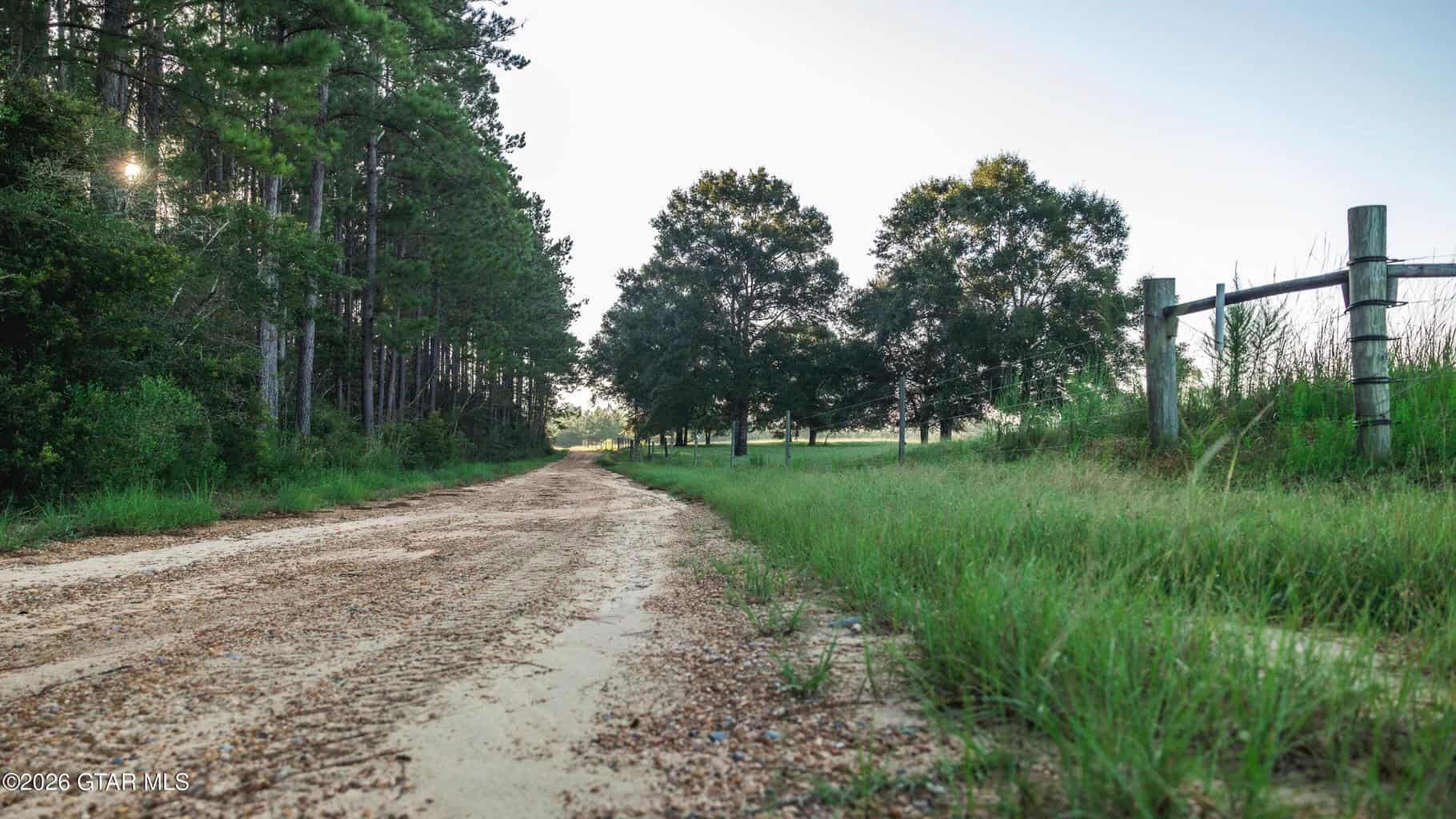 Golden Pines Ranch – 96 Acres