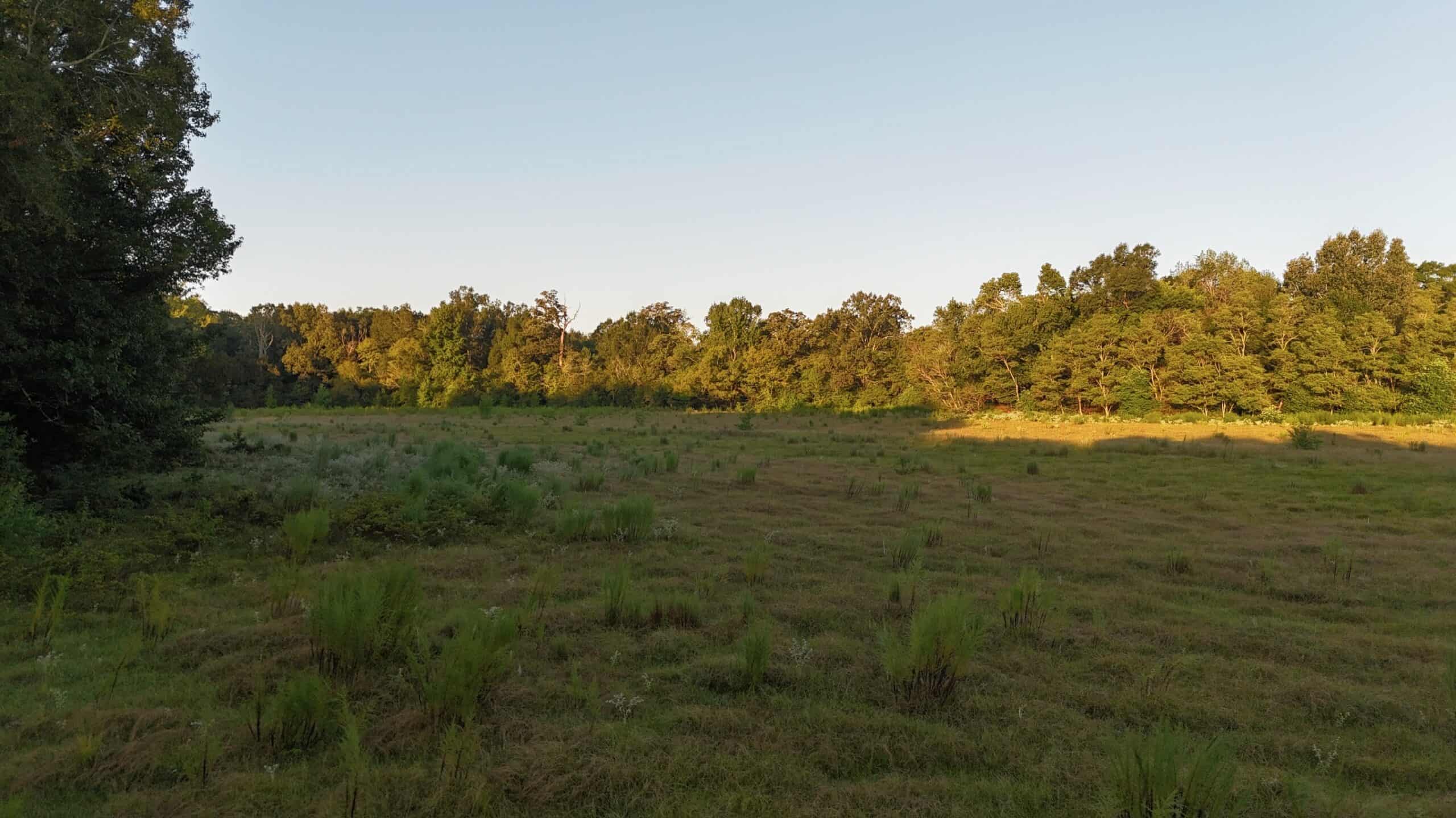 80 Ac Home, Hunting & Cattle Land in Franklin Parish LA