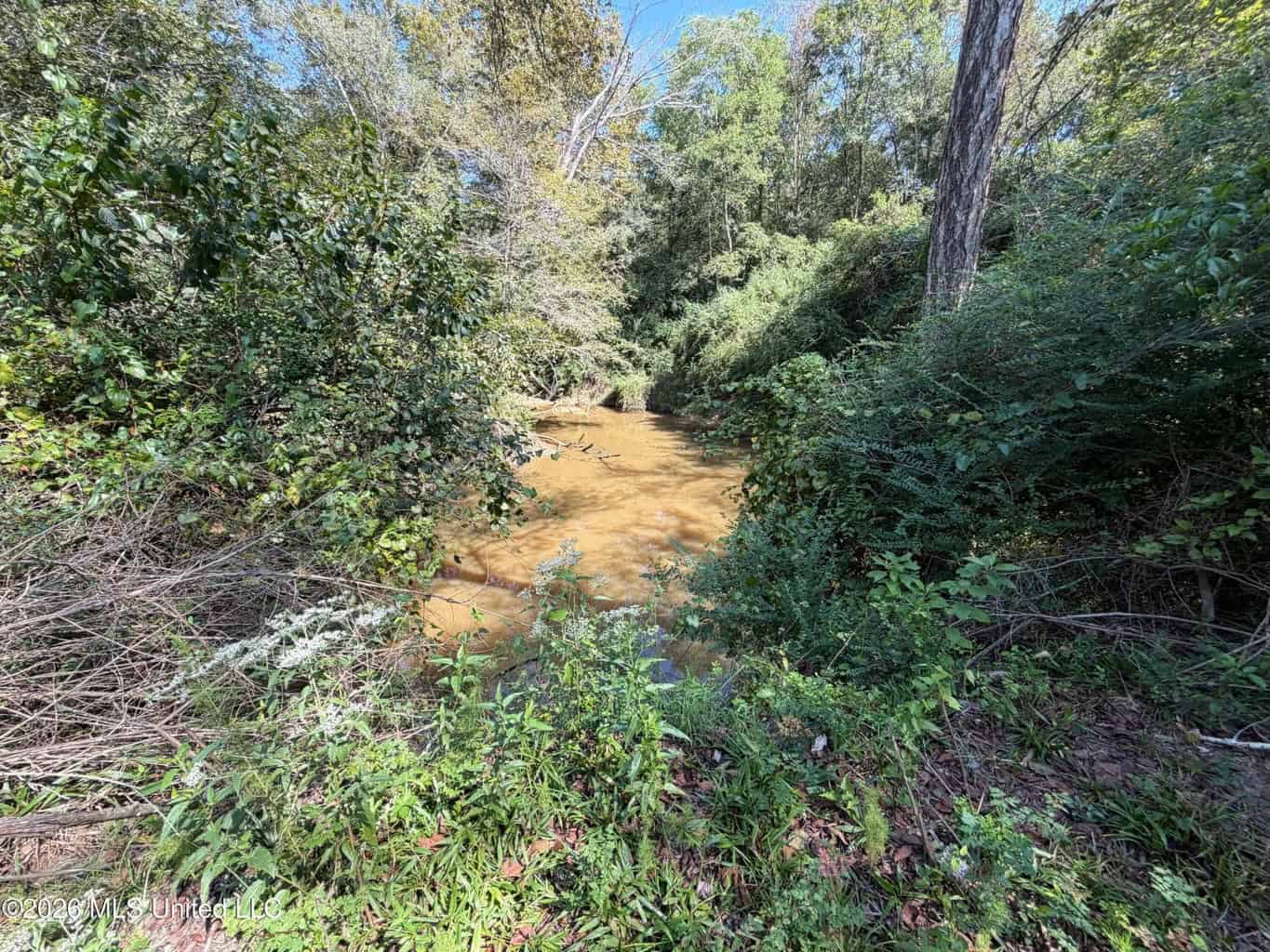 76 Acres of Hunting Land in Raleigh, MS, Smith County