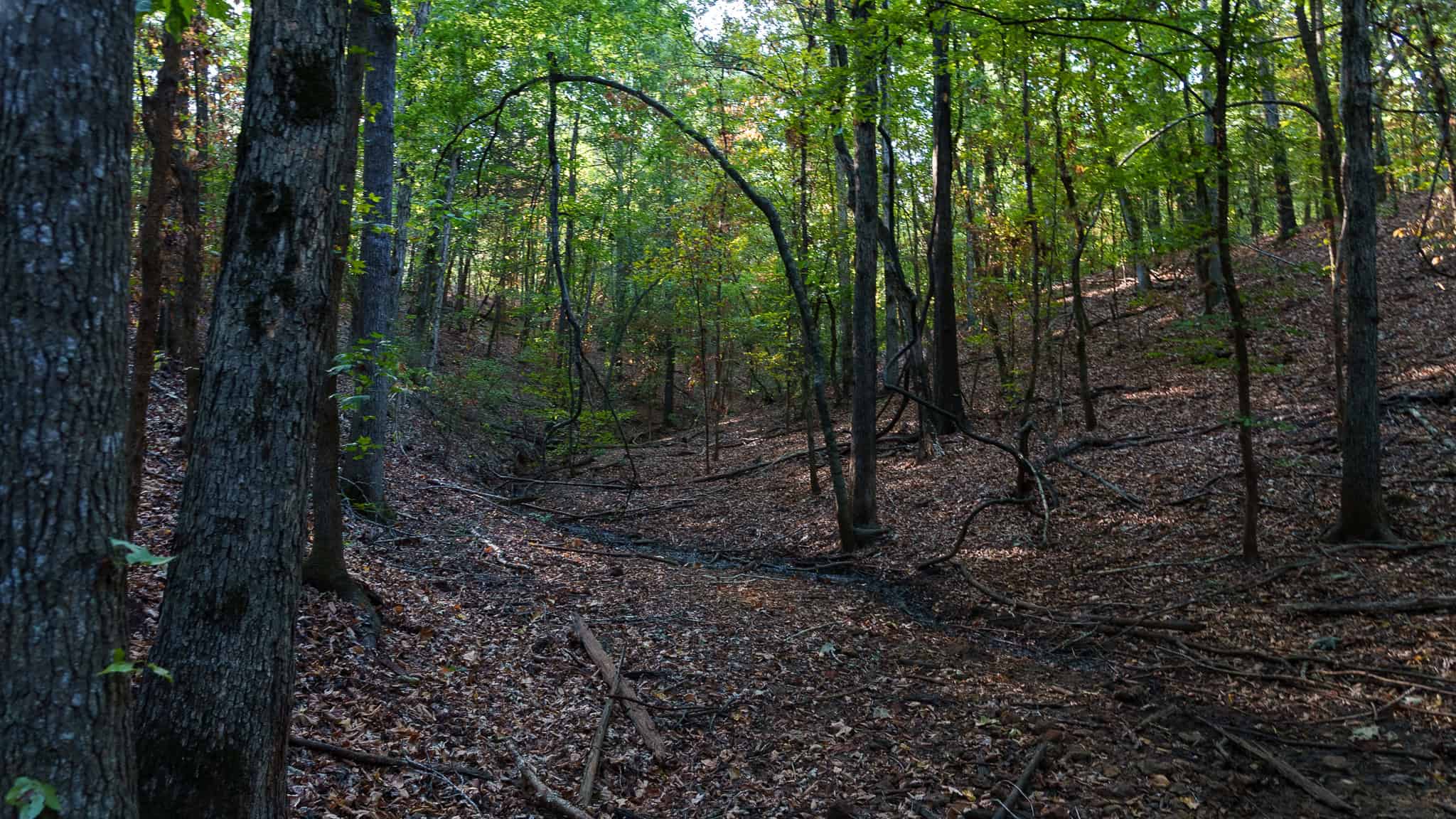 Tyler Texas Hunting Property for Sale 141 ± Acres East of Dallas