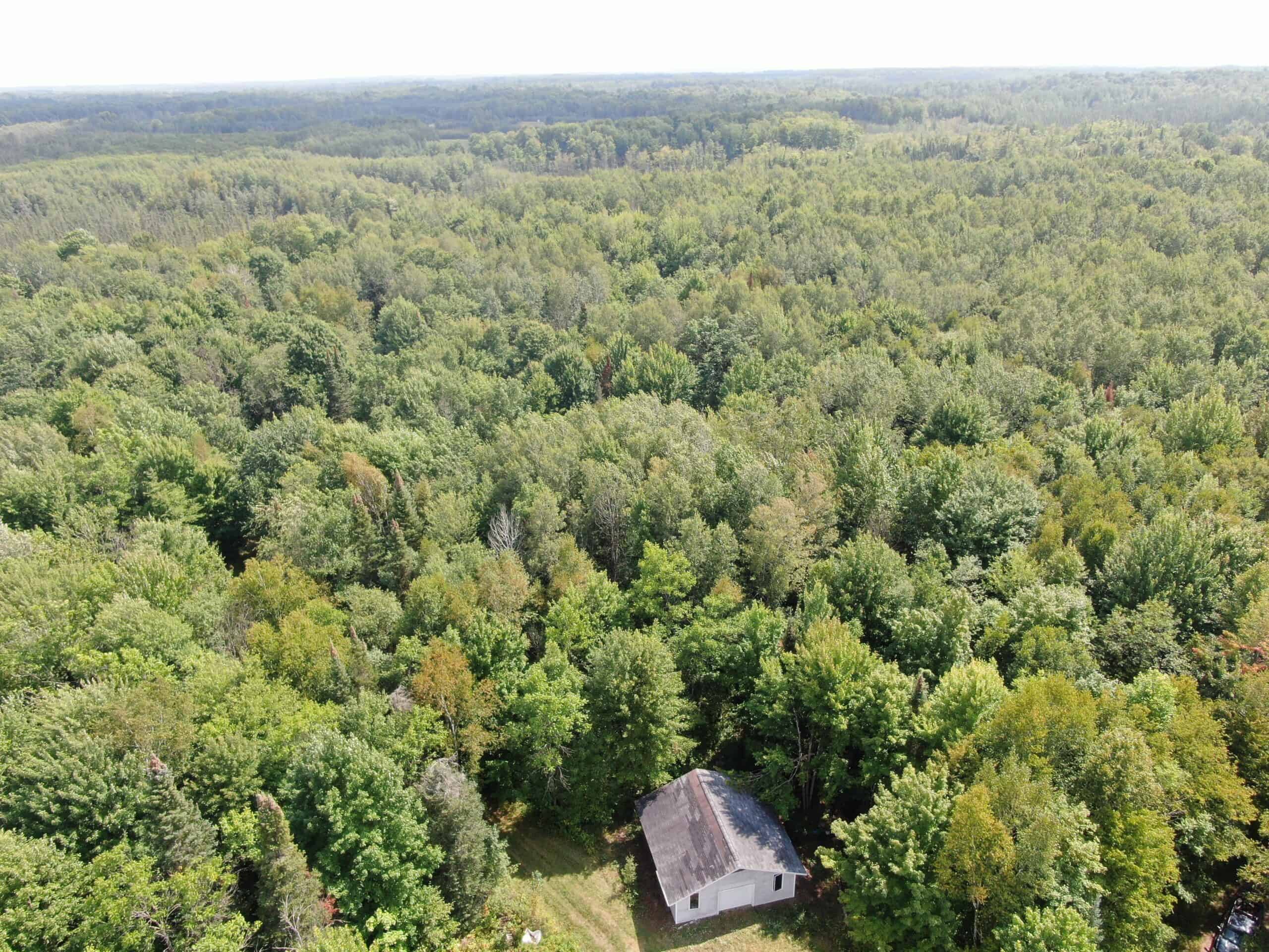 37.5± Acres with Off-Grid Cabin – Taylor County, Wisconsin