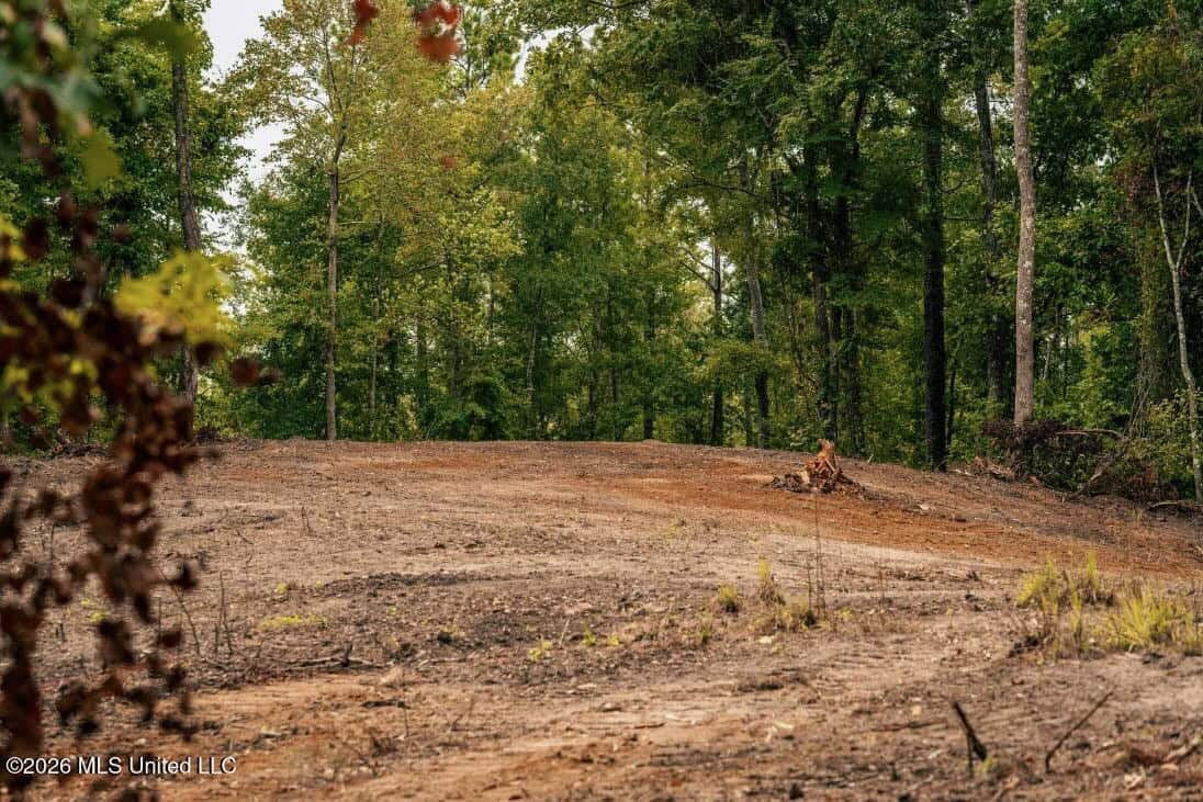 58± Acre Hunting Property in Franklin County, MS