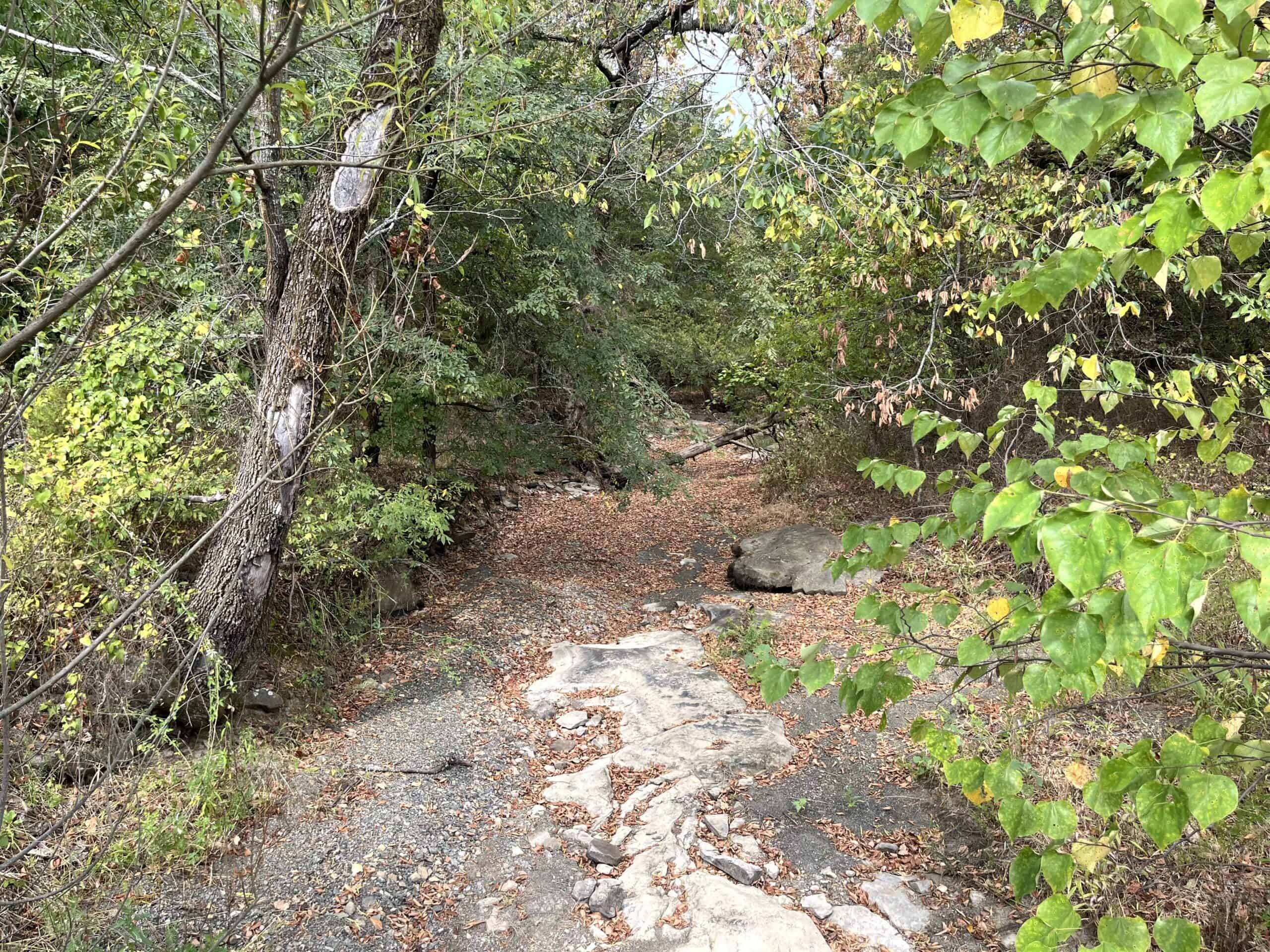 85 Acres of Hunting Land with Native Timber, Wildlife & Pond in SE Oklahoma