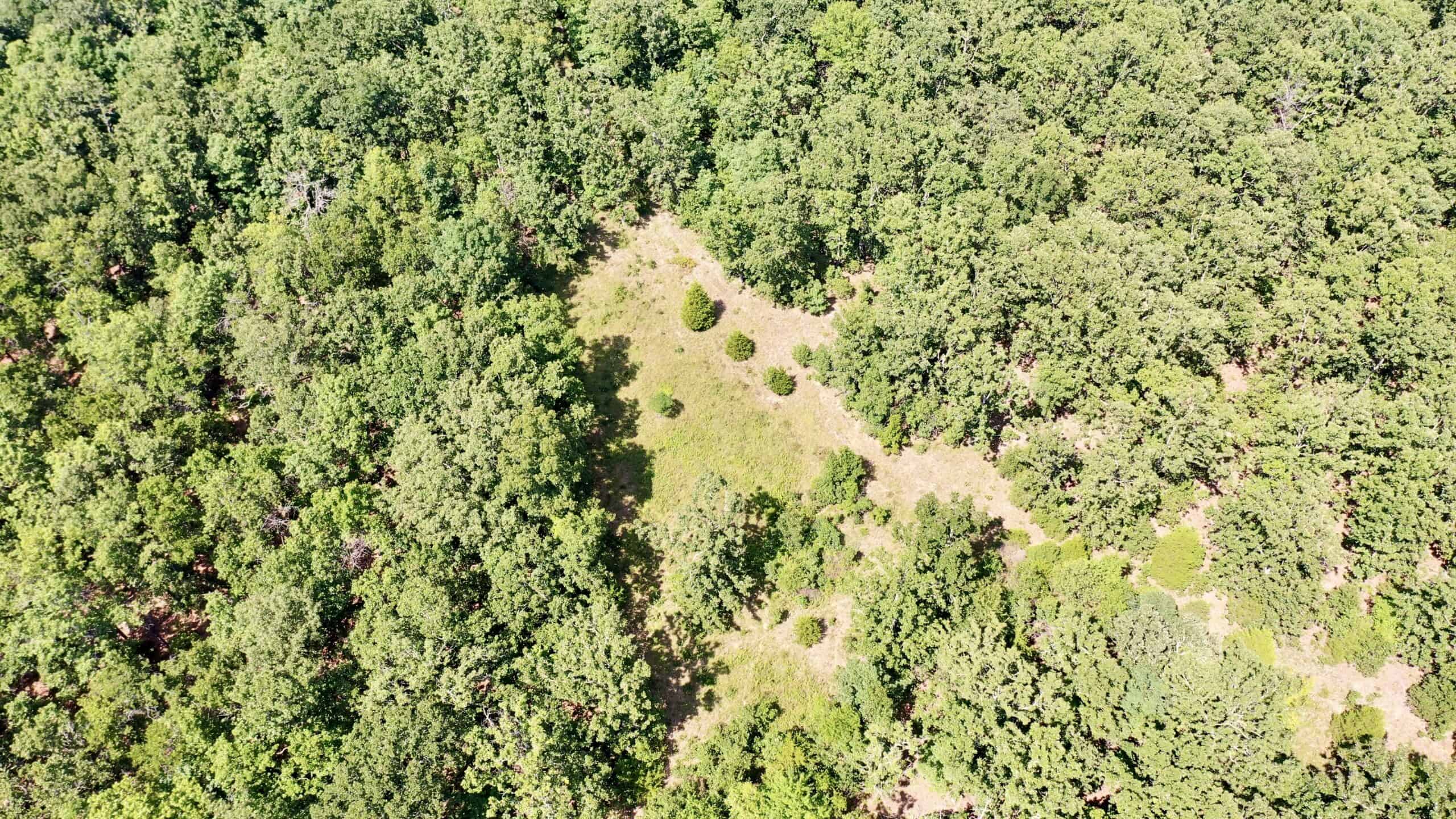 91 ± Acre Hunting Property for Sale in Salem, Missouri Ozarks