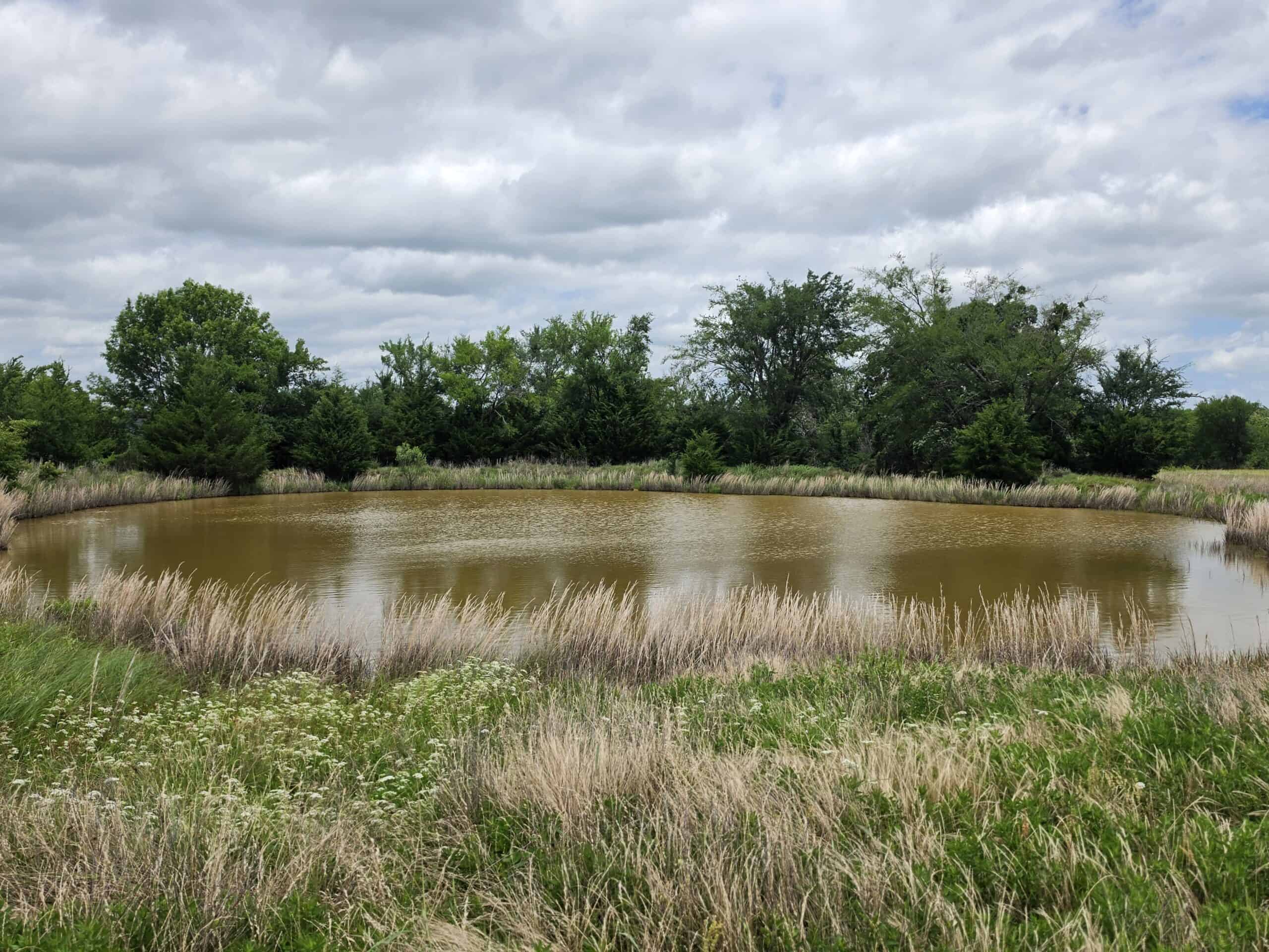 104± Acres of Whitetail Hunting, Hardwood Timber & Fishing Ponds in SE Oklahoma