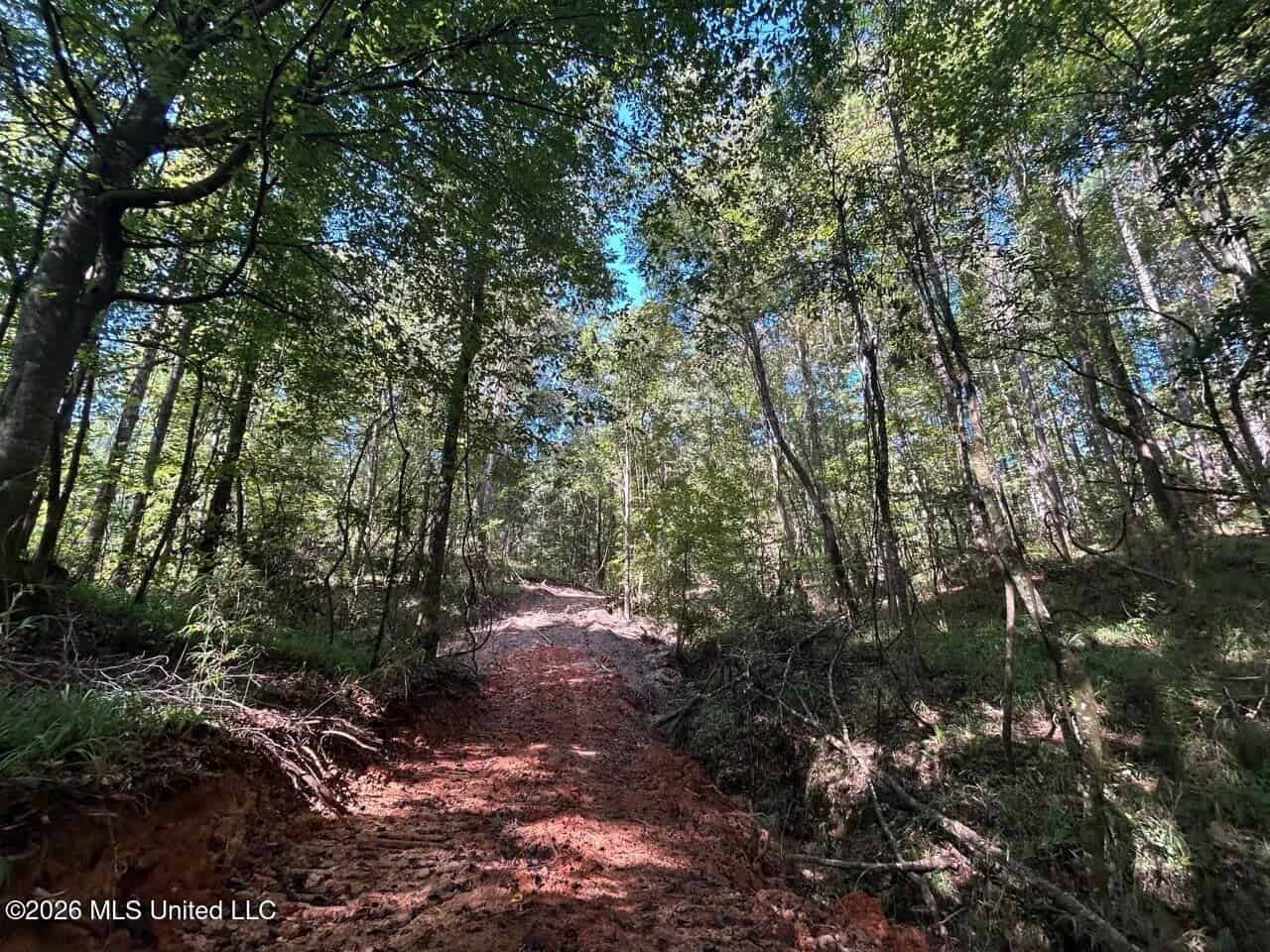 45± Acre Hunting Property in Franklin County, MS