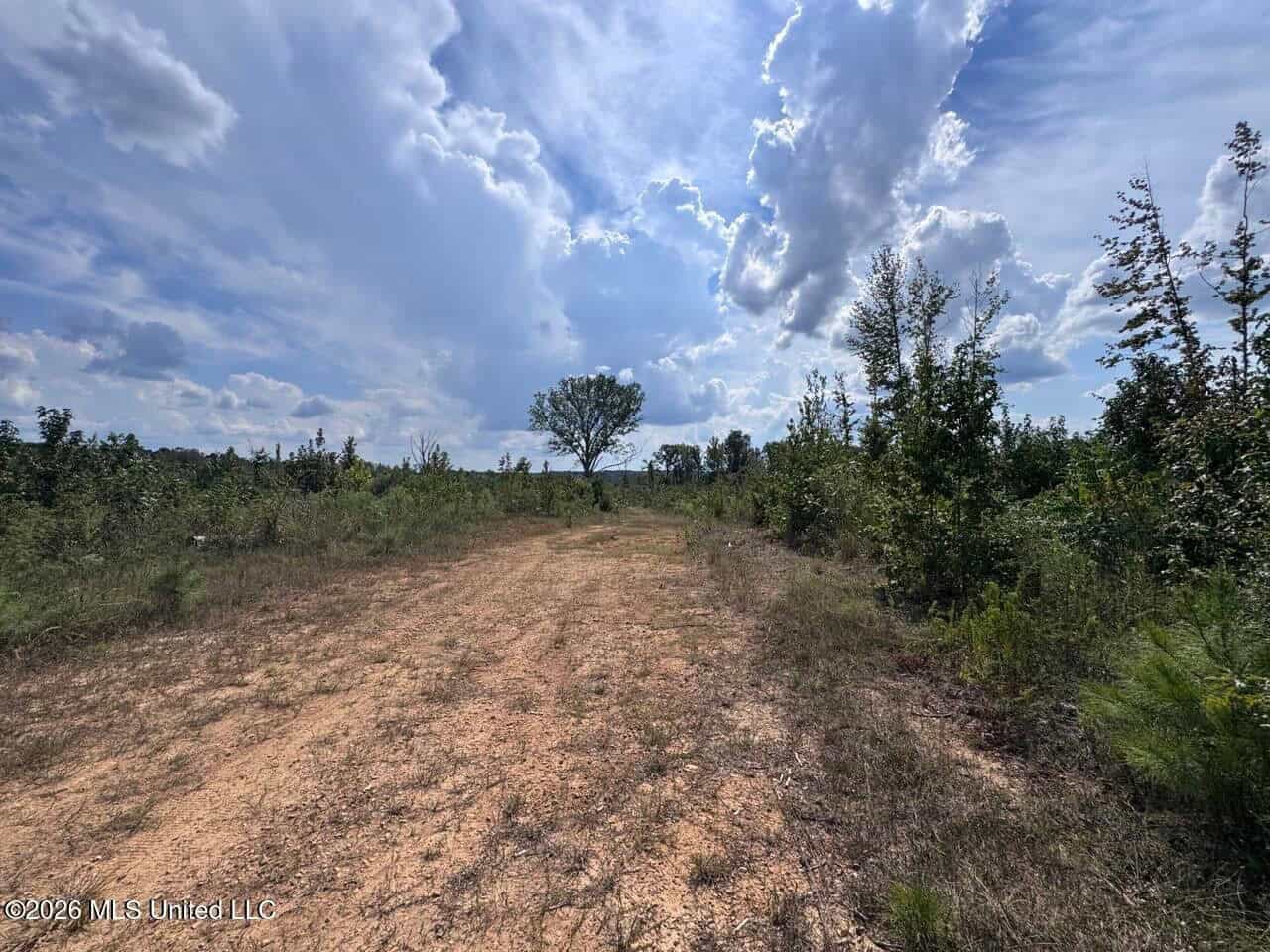 200± Acre Hunting Property in Jefferson County, MS
