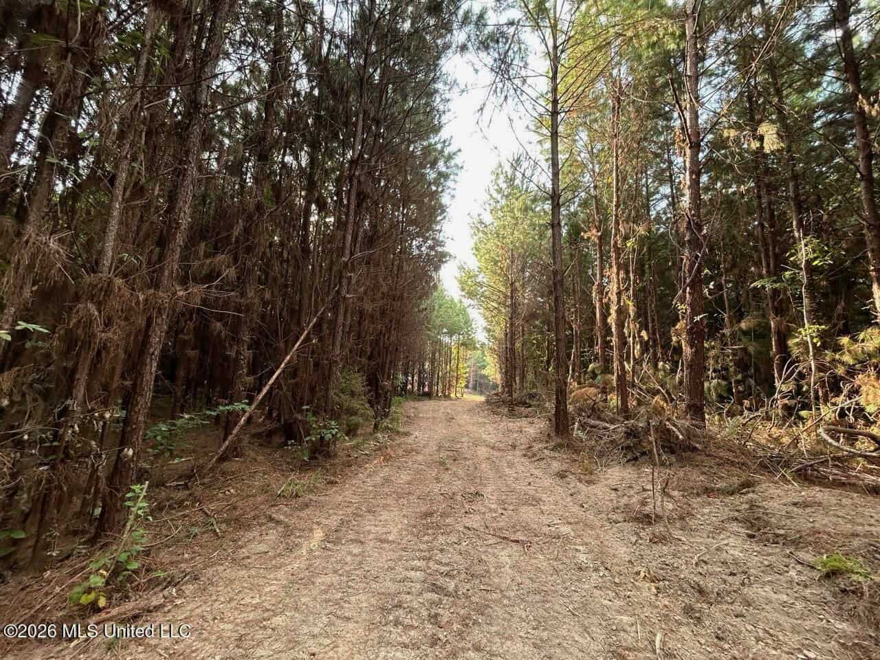 80± Acre Riverfront Hunting Land Near Meadville, MS