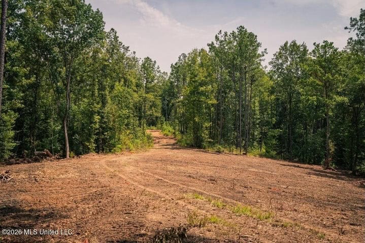 36± Acre Hunting Property Near Bude, MS