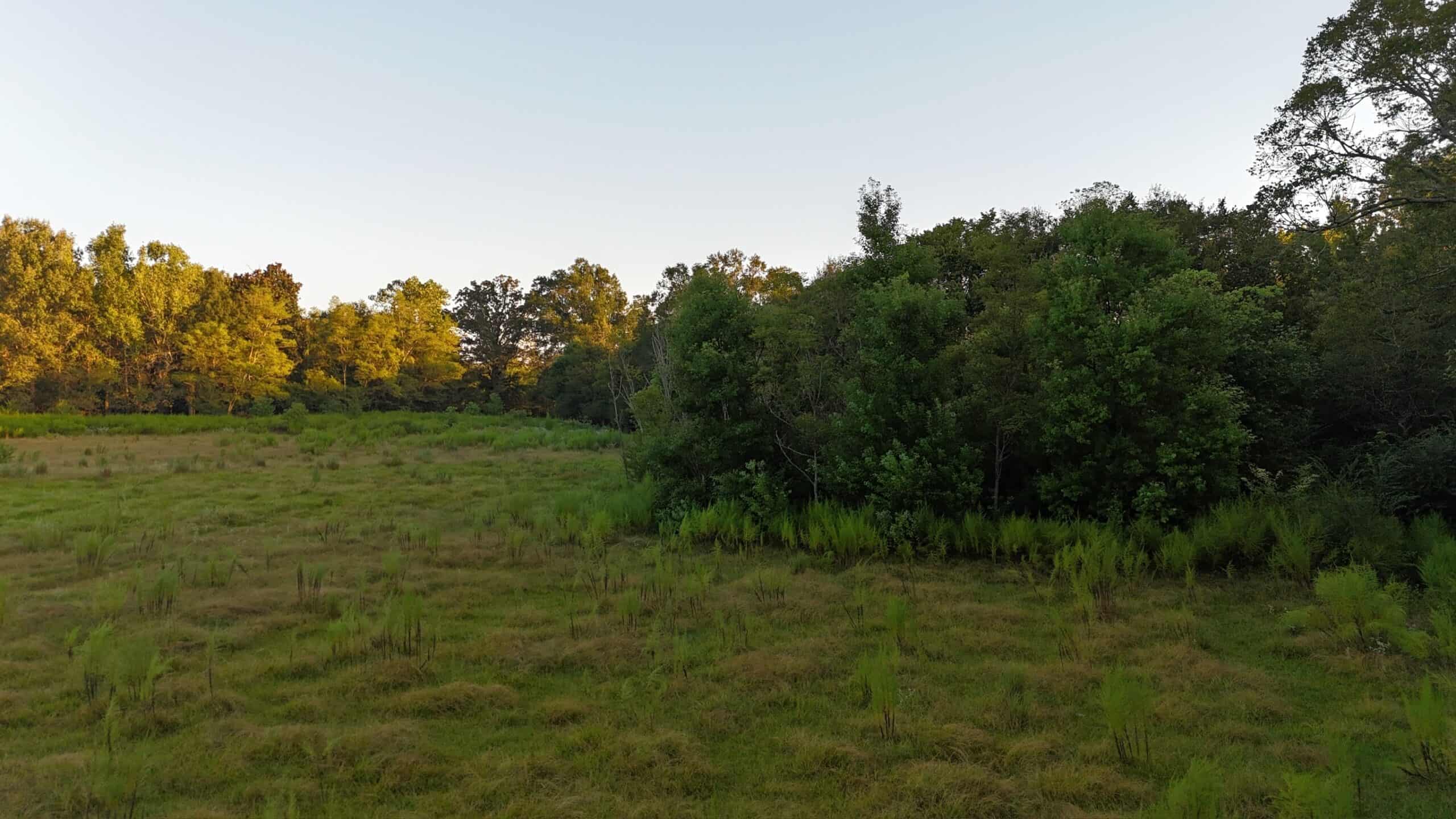 80 Ac Home, Hunting & Cattle Land in Franklin Parish LA