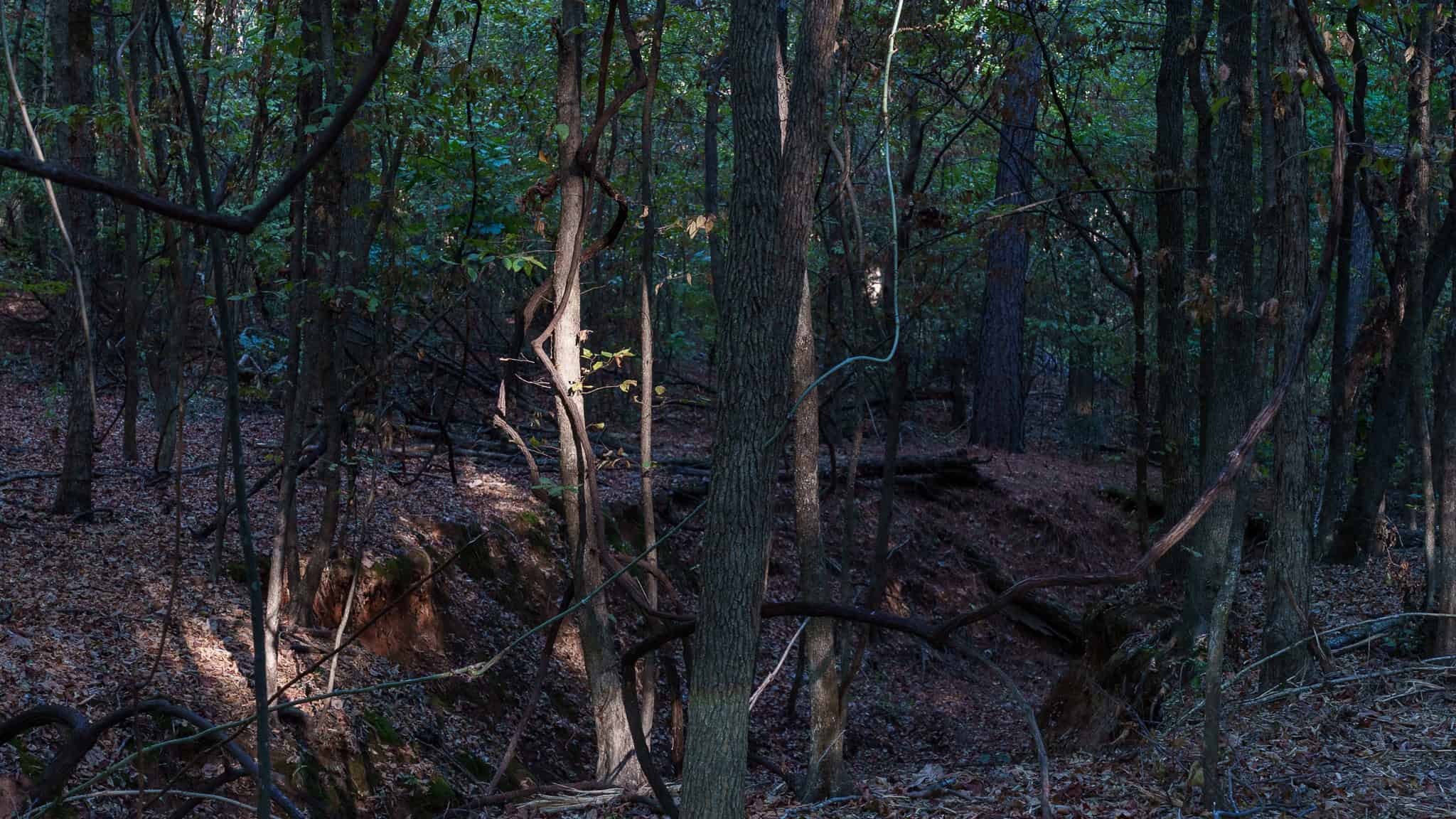 Tyler Texas Hunting Property for Sale 141 ± Acres East of Dallas