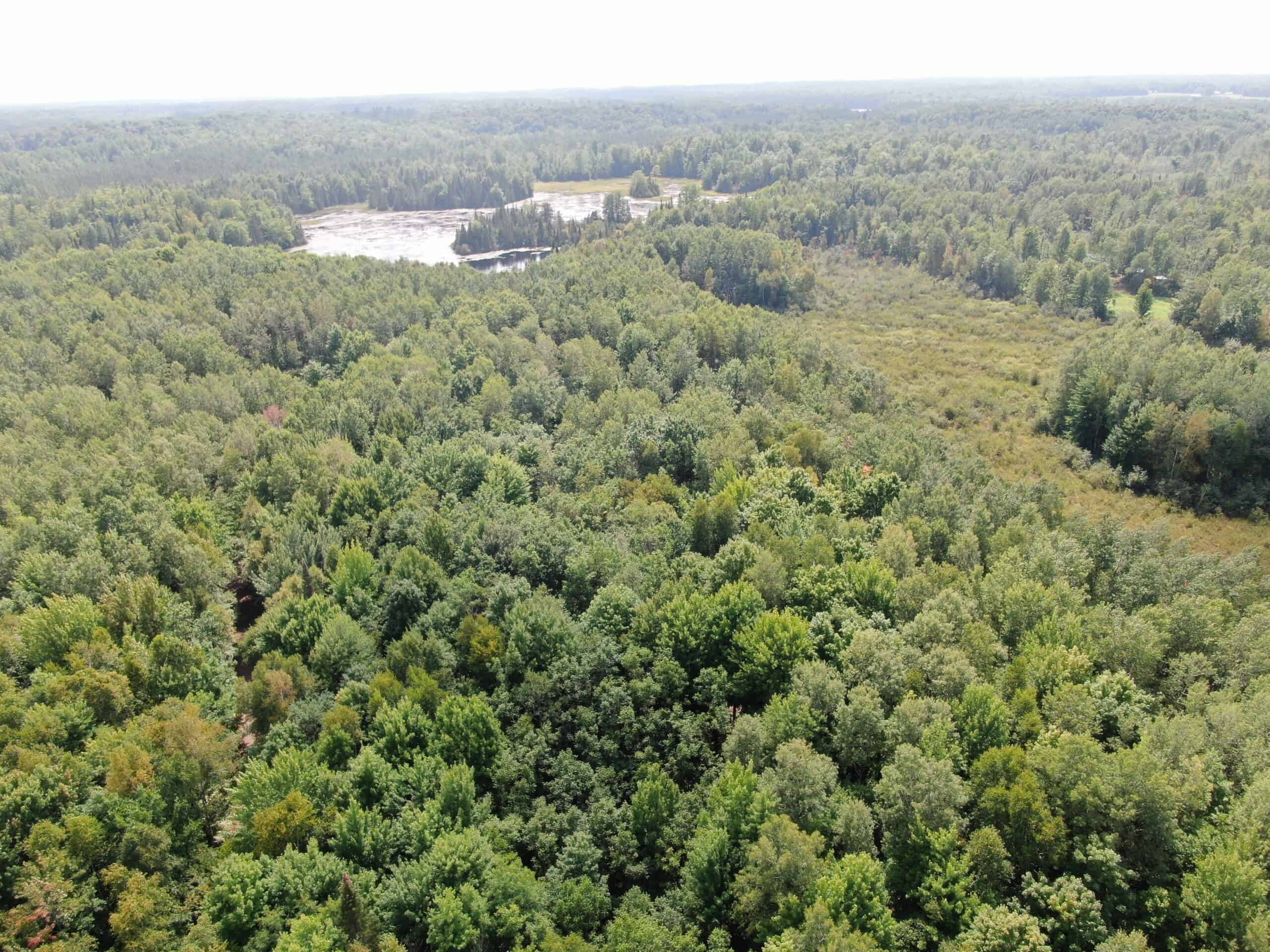 37.5± Acres with Off-Grid Cabin – Taylor County, Wisconsin
