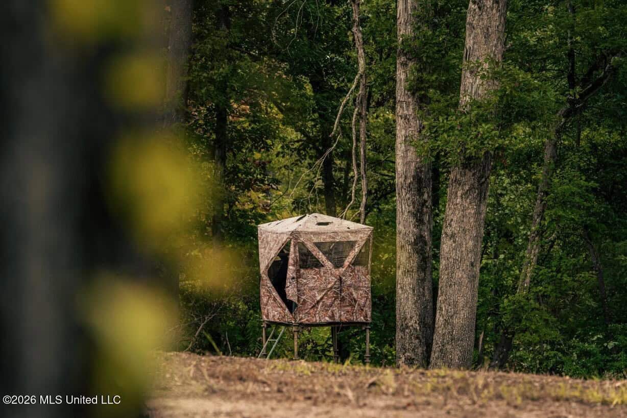 58± Acre Hunting Property in Franklin County, MS