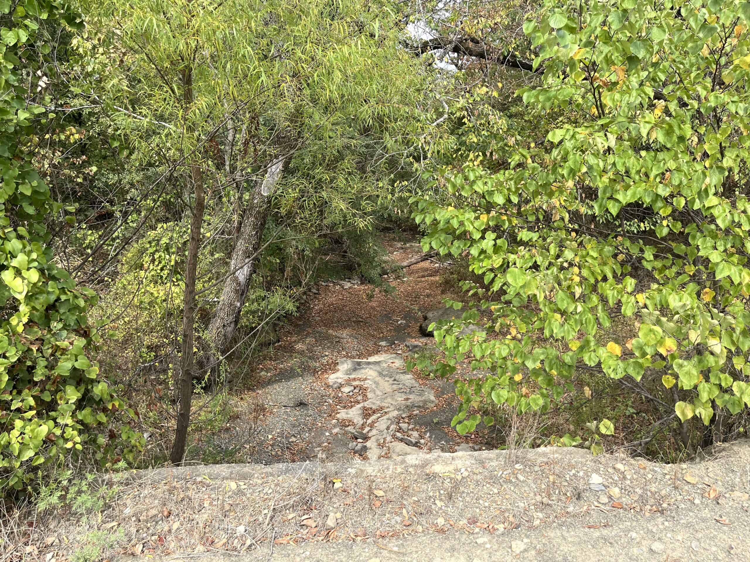 85 Acres of Hunting Land with Native Timber, Wildlife & Pond in SE Oklahoma