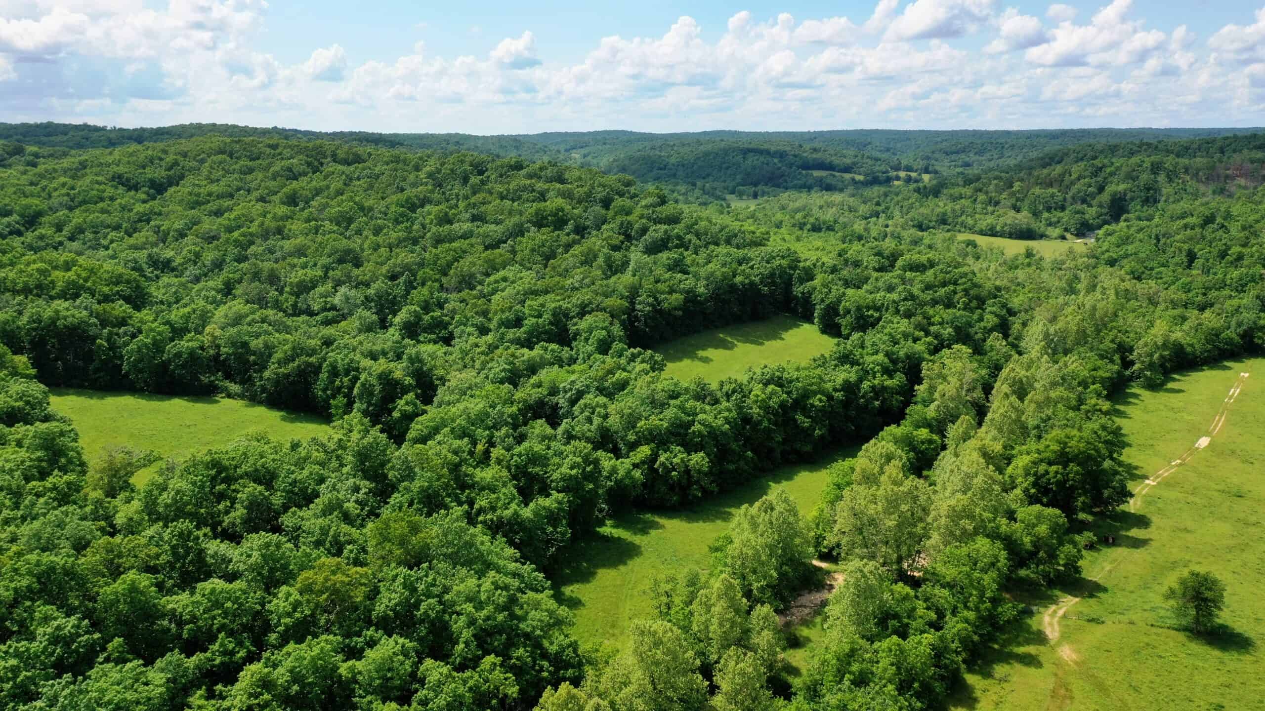 473 ± Acre Ozark Farm for Sale Near Salem, Missouri