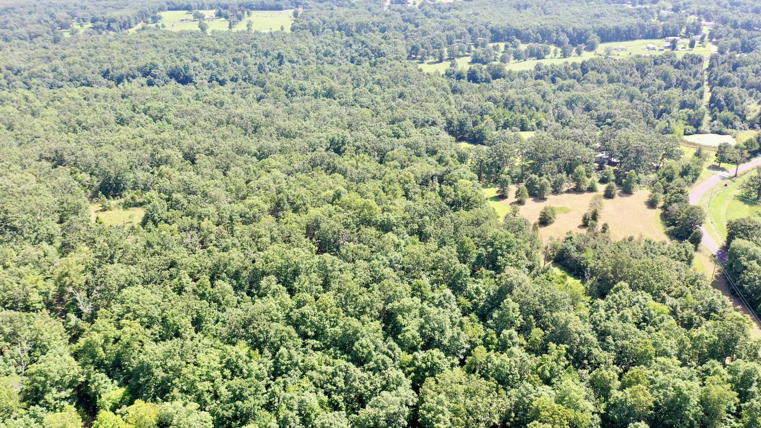 91 ± Acre Hunting Property for Sale in Salem, Missouri Ozarks