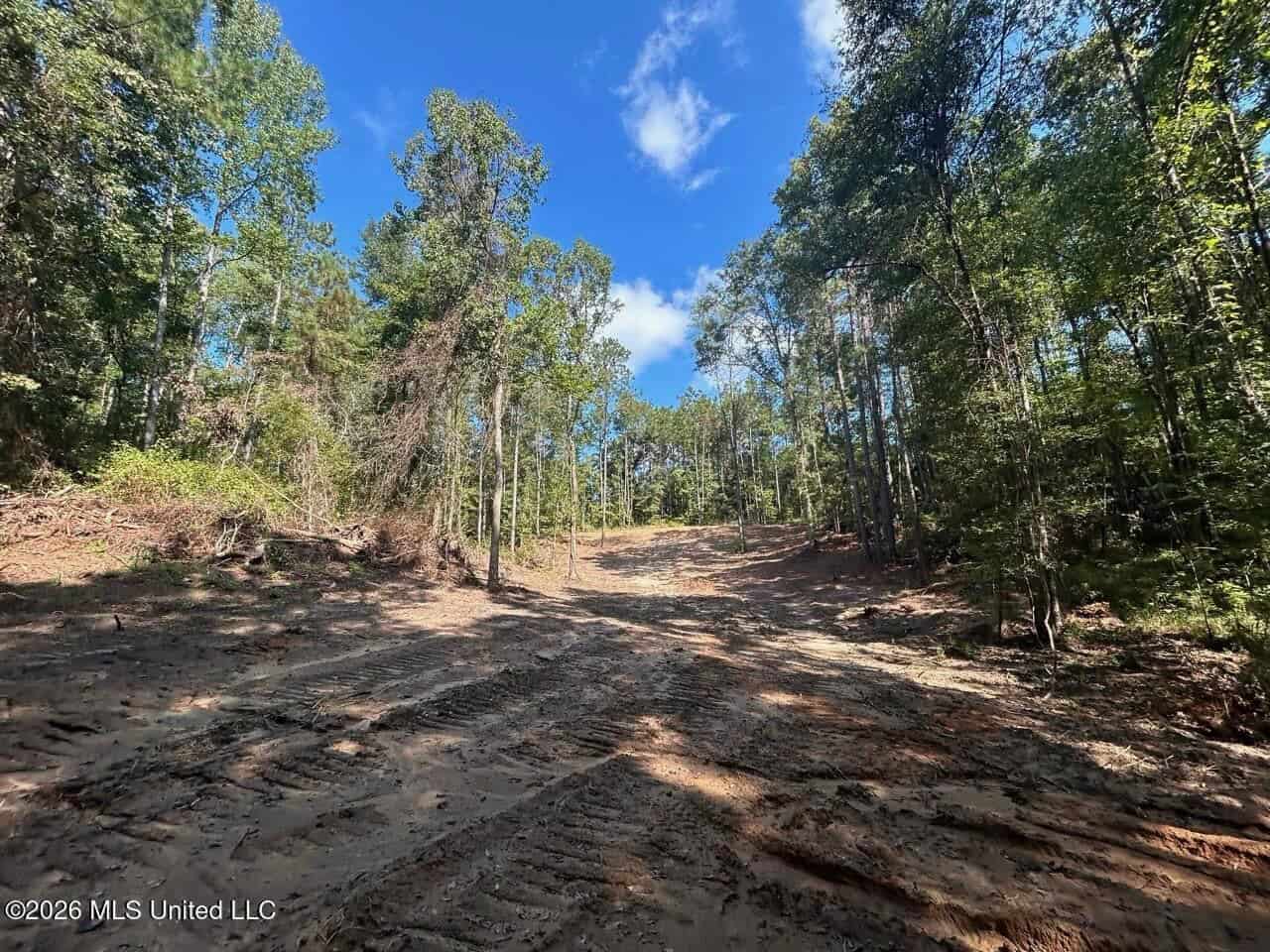 45± Acre Hunting Property in Franklin County, MS