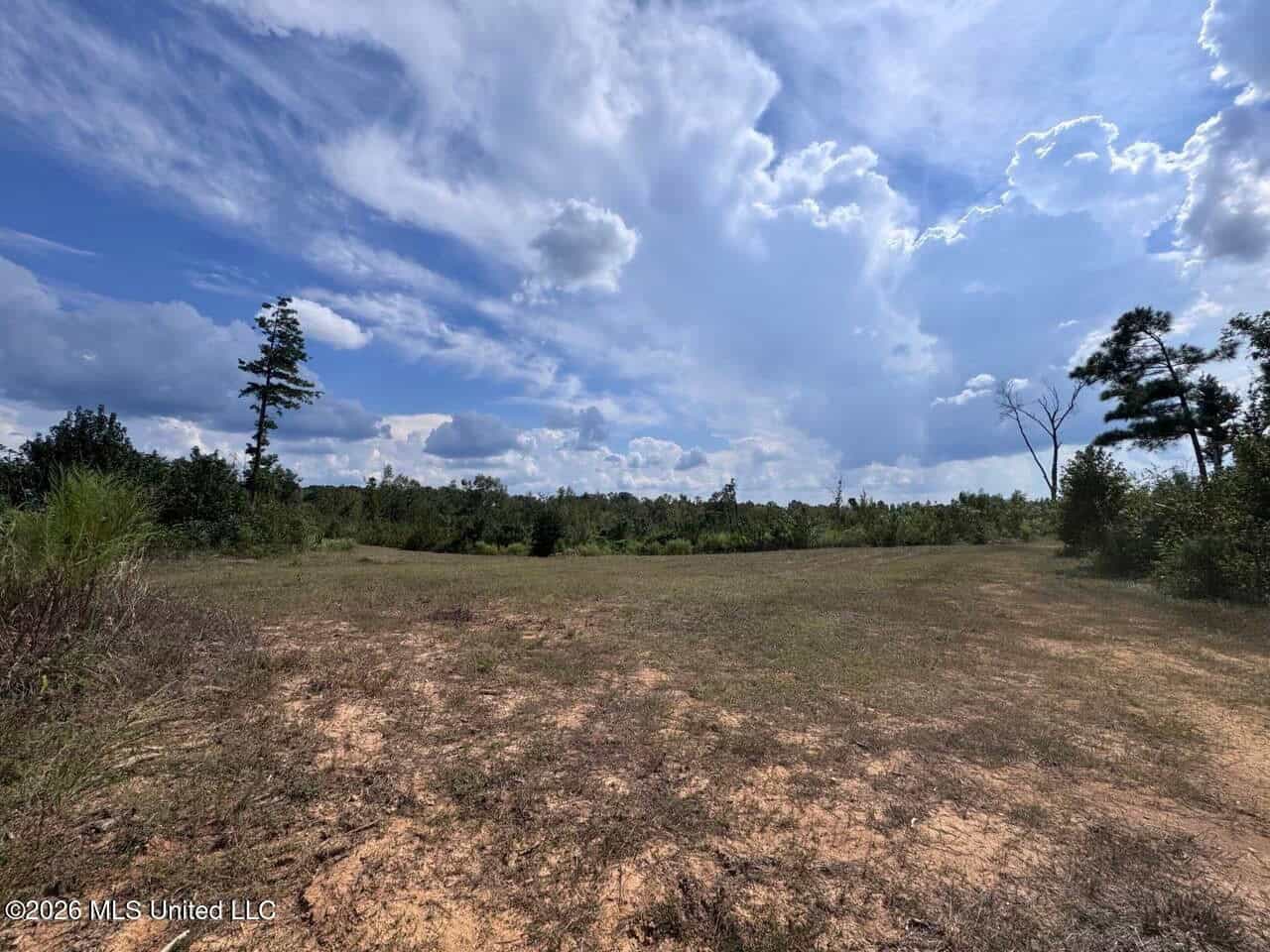 200± Acre Hunting Property in Jefferson County, MS