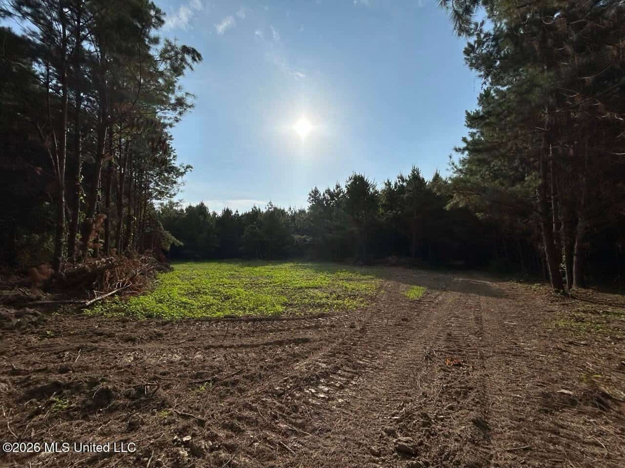 80± Acre Riverfront Hunting Land Near Meadville, MS