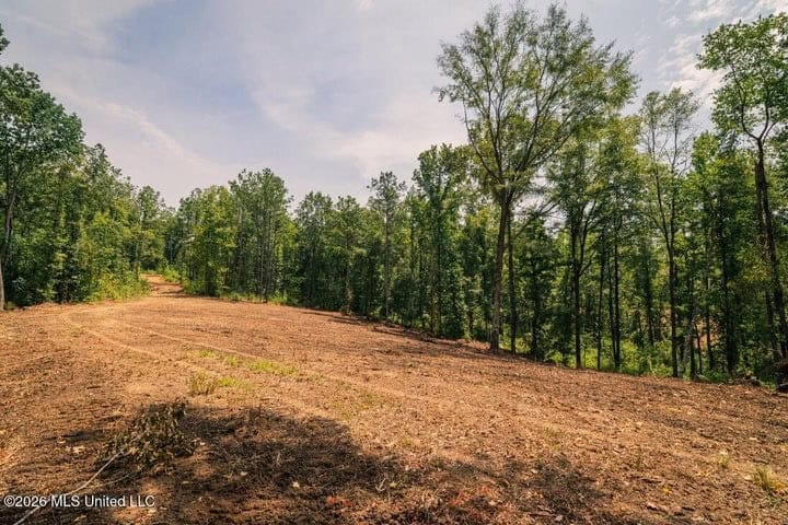 36± Acre Hunting Property Near Bude, MS