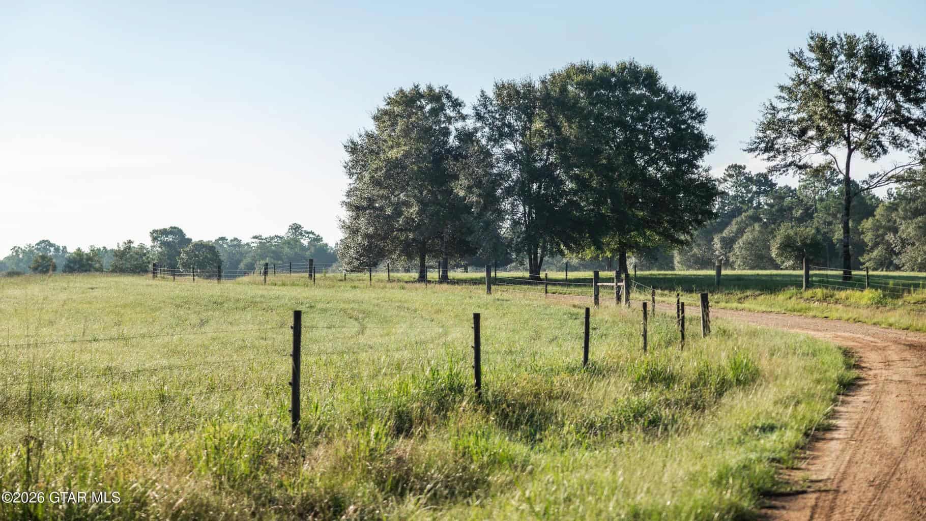 Golden Pines Ranch – 96 Acres