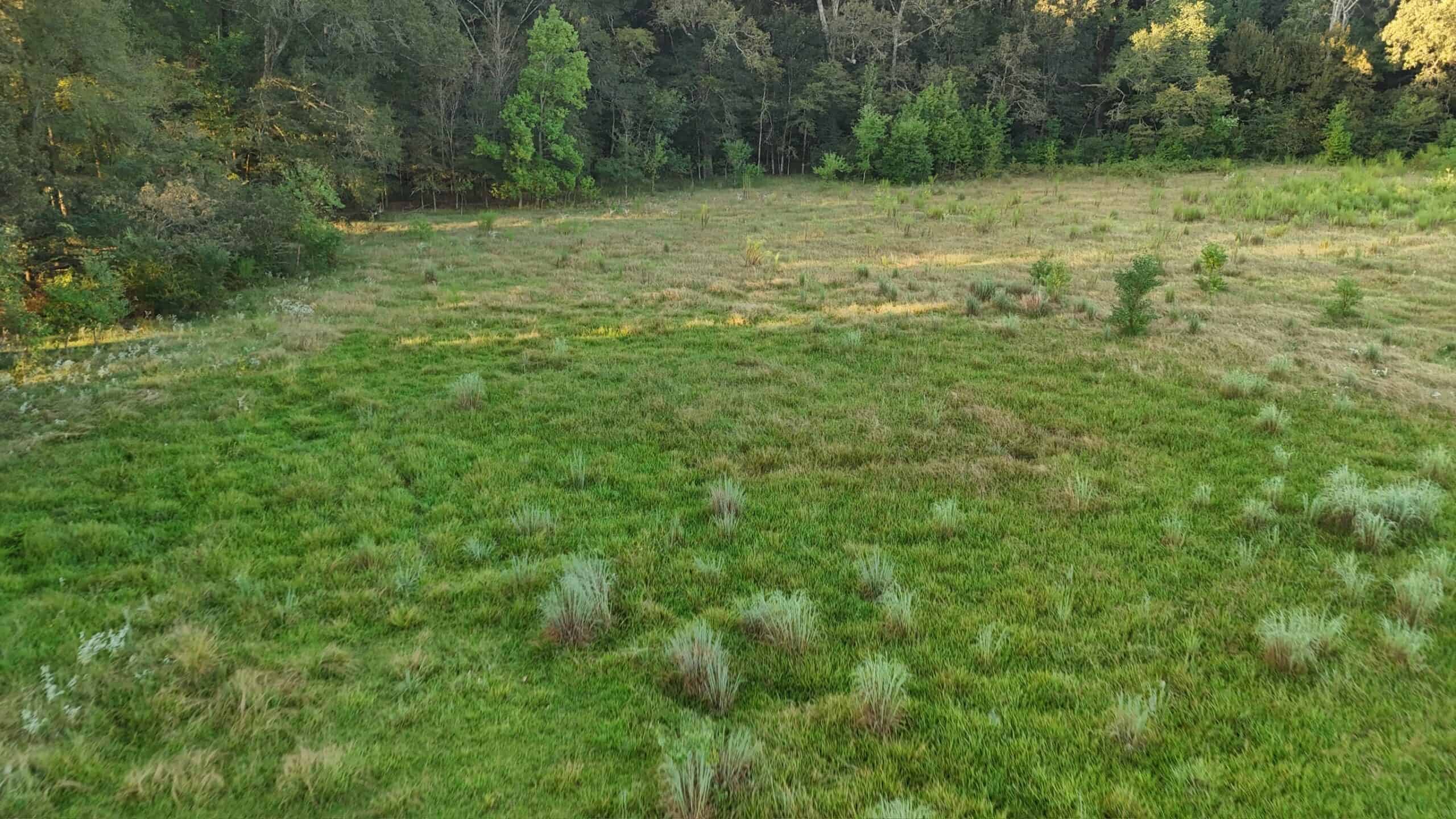 80 Ac Home, Hunting & Cattle Land in Franklin Parish LA