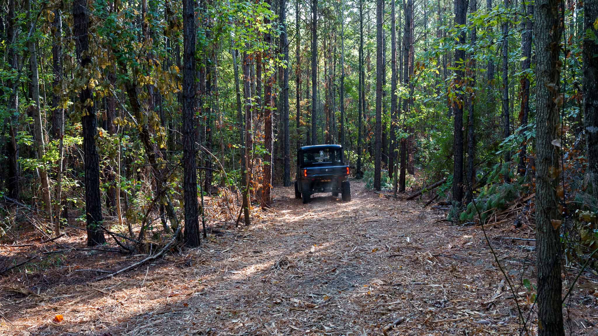 Tyler Texas Hunting Property for Sale 141 ± Acres East of Dallas