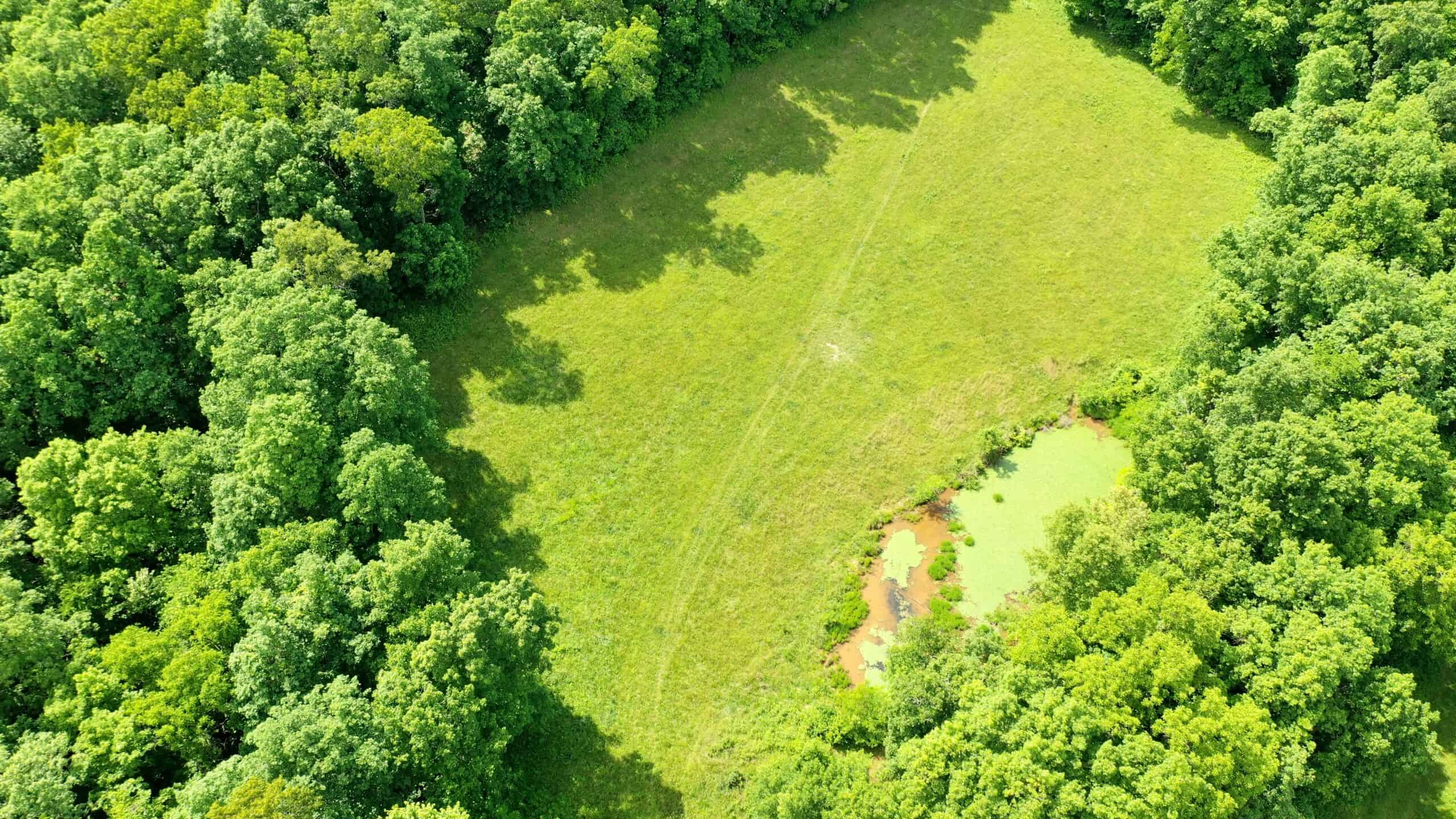 473 ± Acre Ozark Farm for Sale Near Salem, Missouri