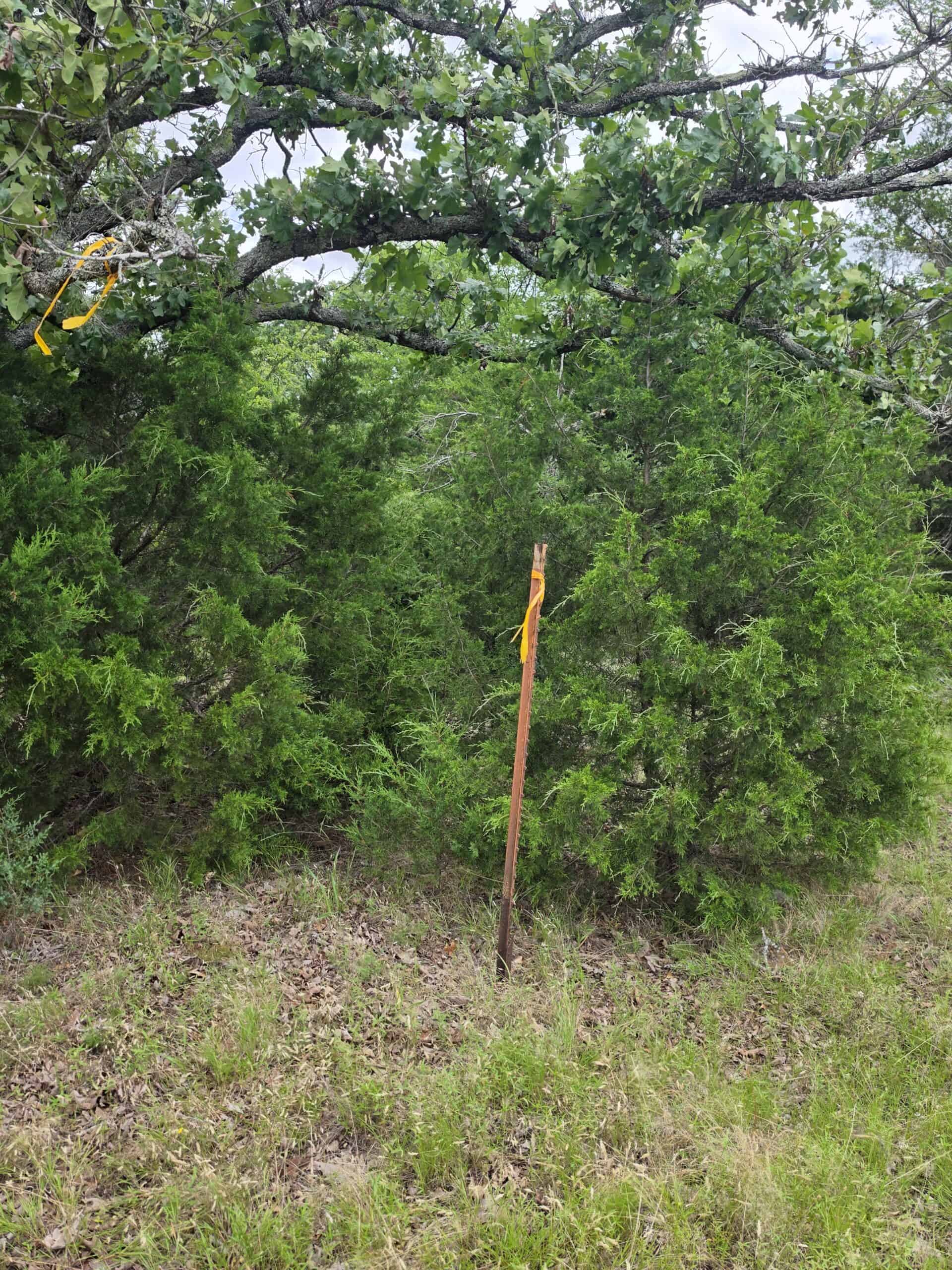 104± Acres of Whitetail Hunting, Hardwood Timber & Fishing Ponds in SE Oklahoma