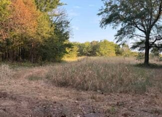 82.61-Acre Hunter’s Retreat with Stocked Lake & Barndominium