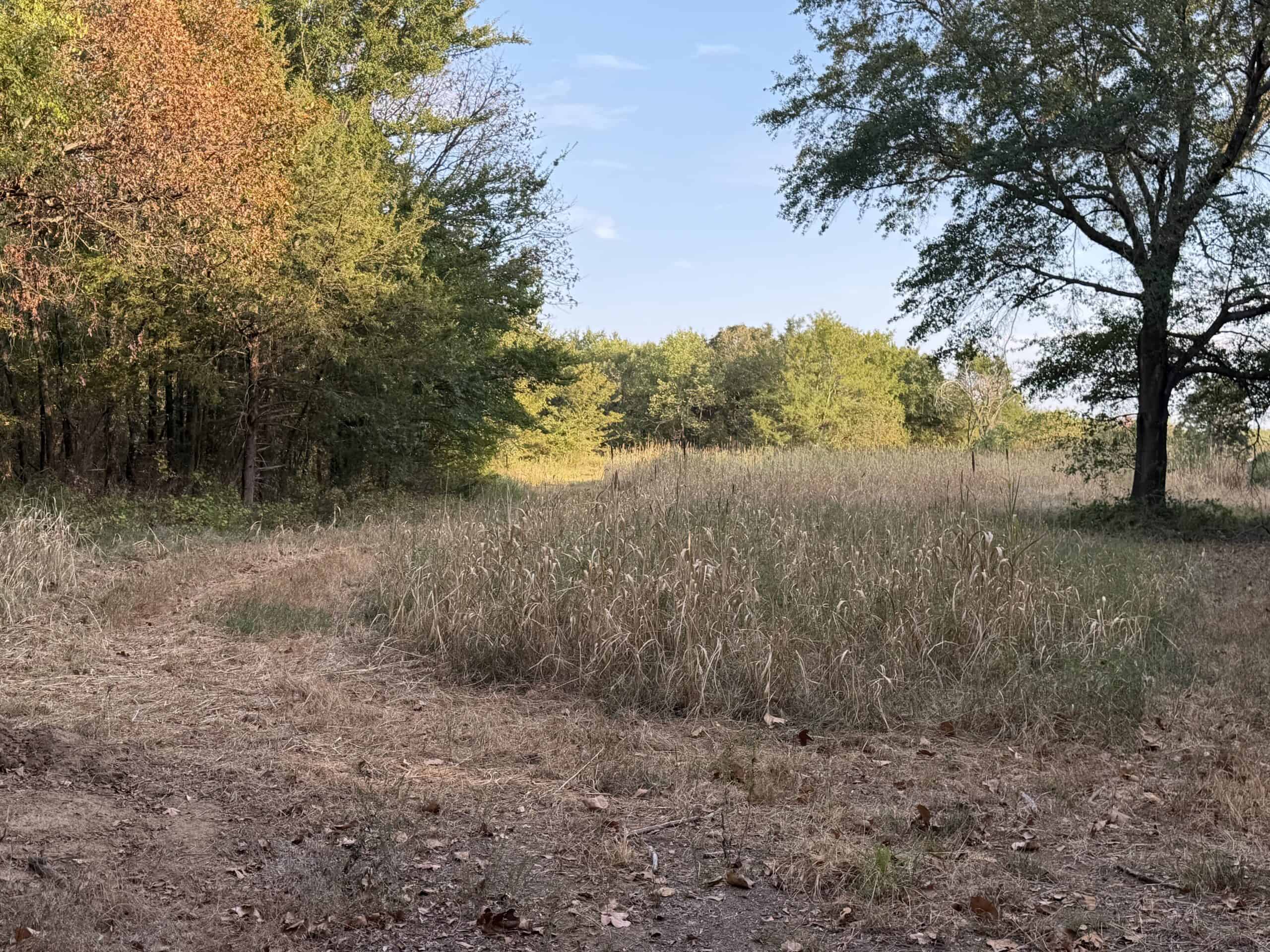 82.61-Acre Hunter’s Retreat with Stocked Lake & Barndominium