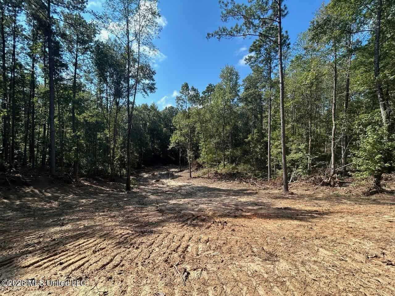 45± Acre Hunting Property in Franklin County, MS