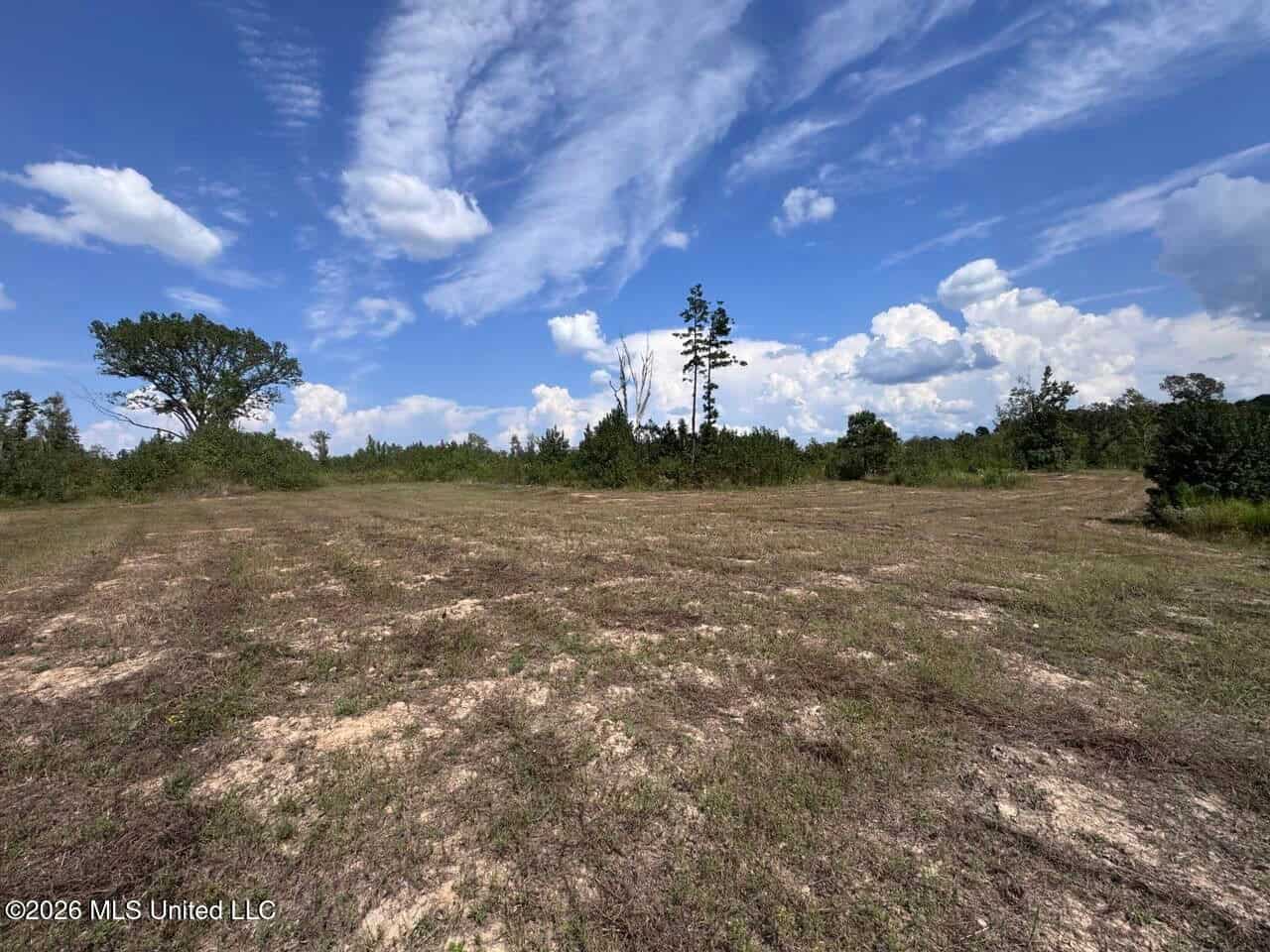 200± Acre Hunting Property in Jefferson County, MS