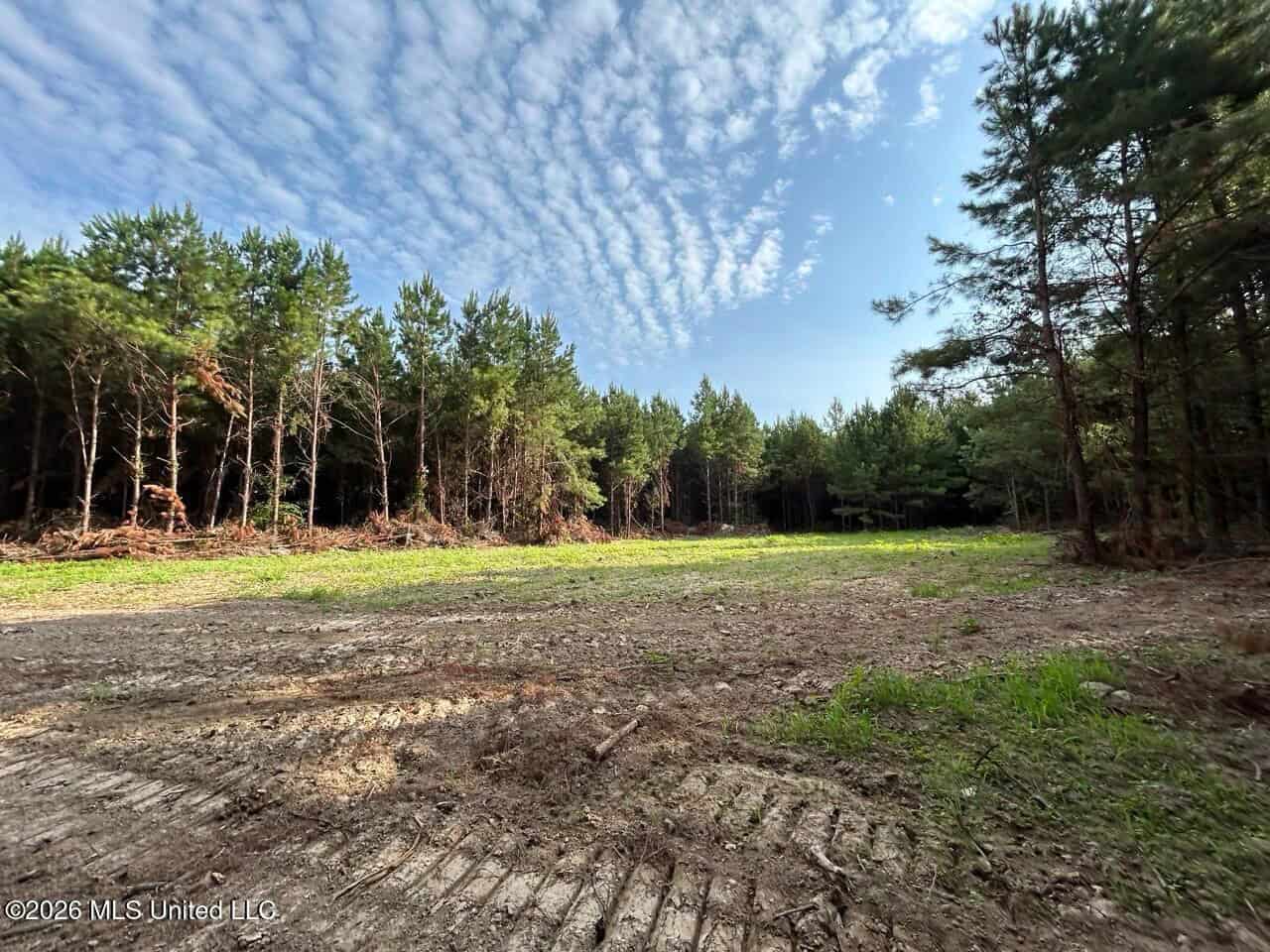 80± Acre Riverfront Hunting Land Near Meadville, MS