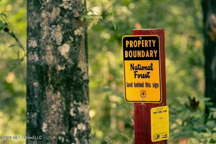 36± Acre Hunting Property Near Bude, MS