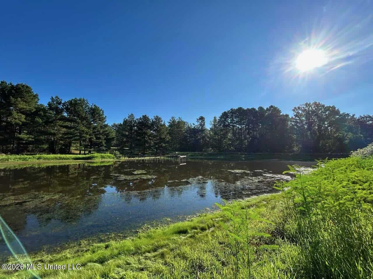 210+/- Acres and Cabin in Franklin County, MS