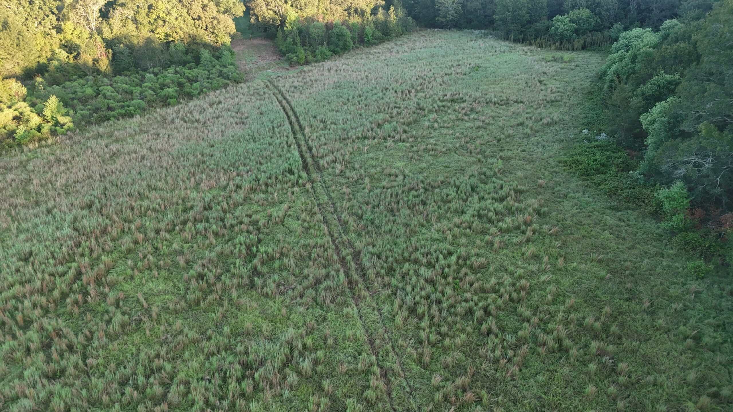 80 Ac Home, Hunting & Cattle Land in Franklin Parish LA