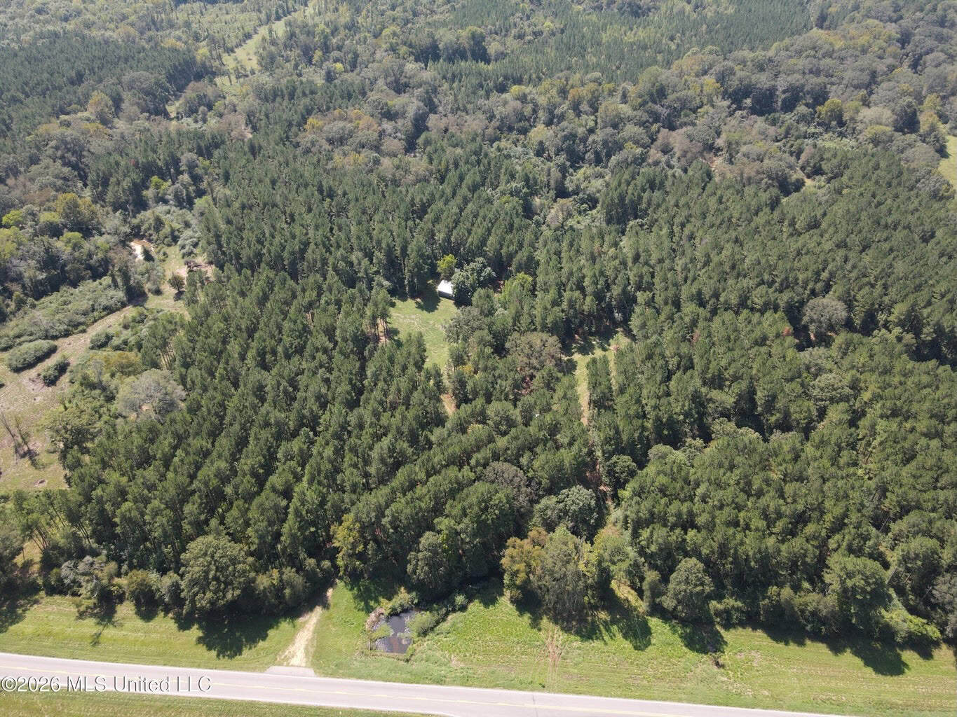 76 Acres of Hunting Land in Raleigh, MS, Smith County