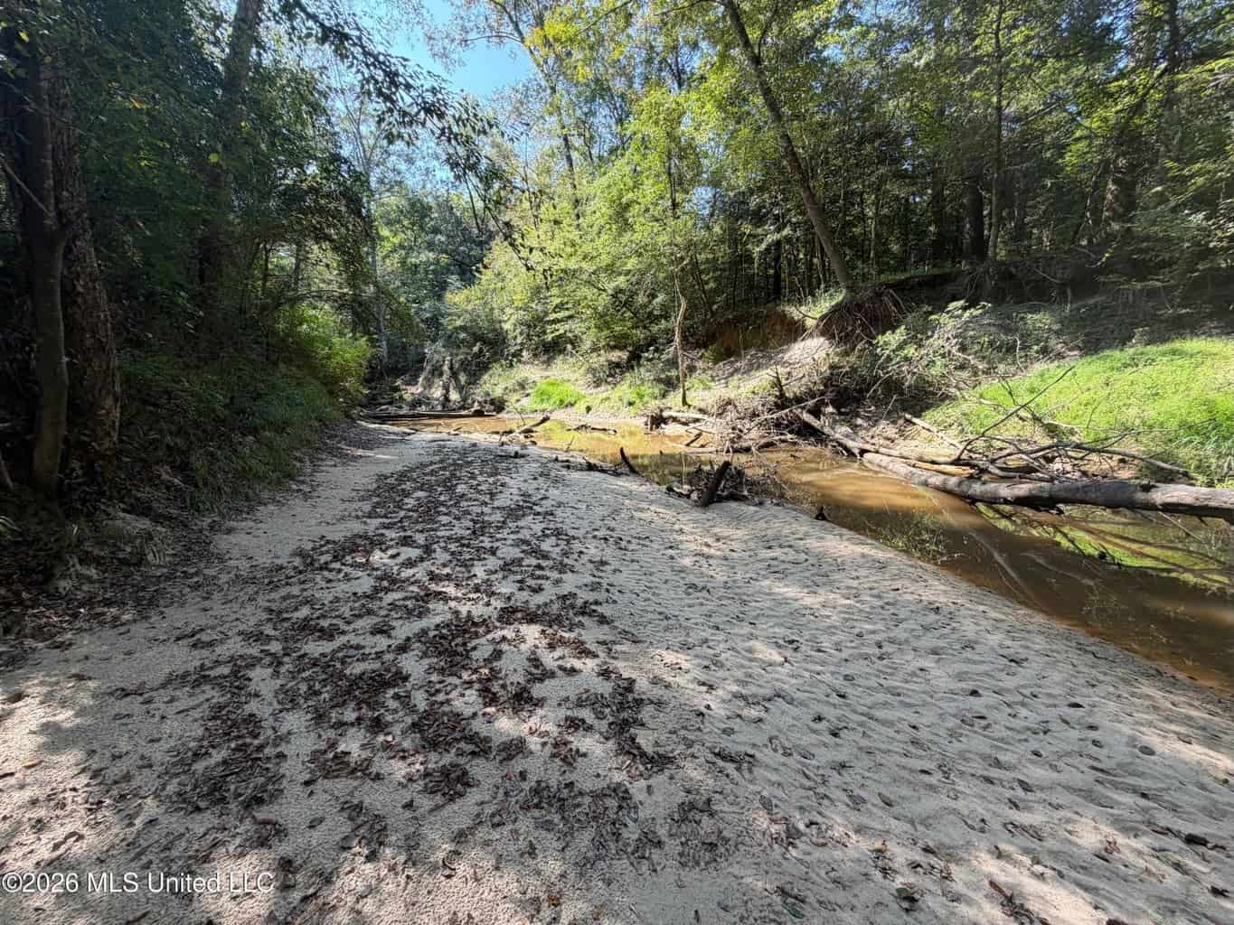 52 Acres Hunting & Timberland in Raleigh, MS