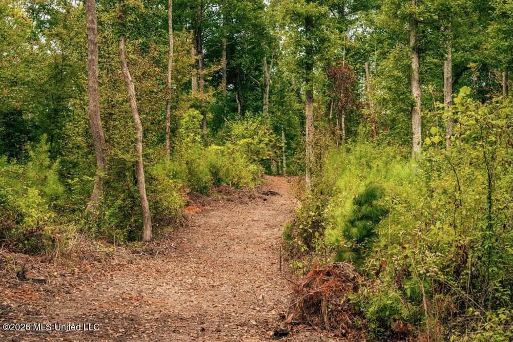 58± Acre Hunting Property in Franklin County, MS