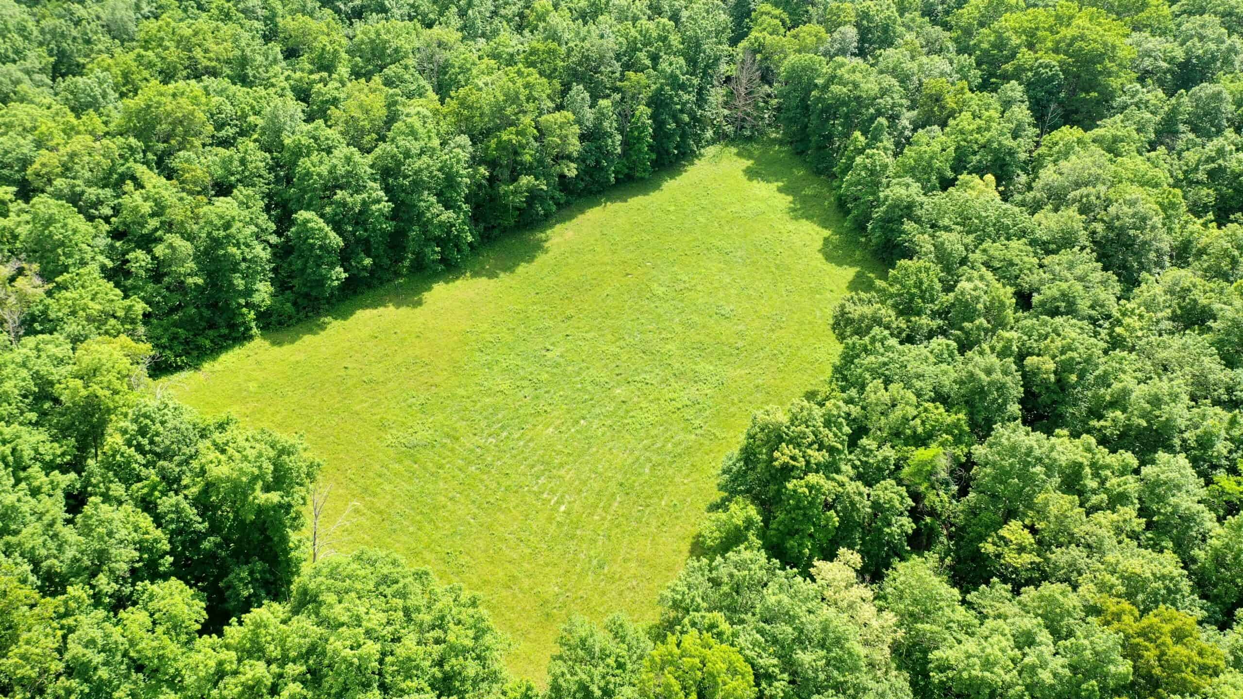 473 ± Acre Ozark Farm for Sale Near Salem, Missouri