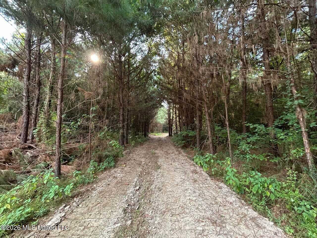 80± Acre Riverfront Hunting Land Near Meadville, MS